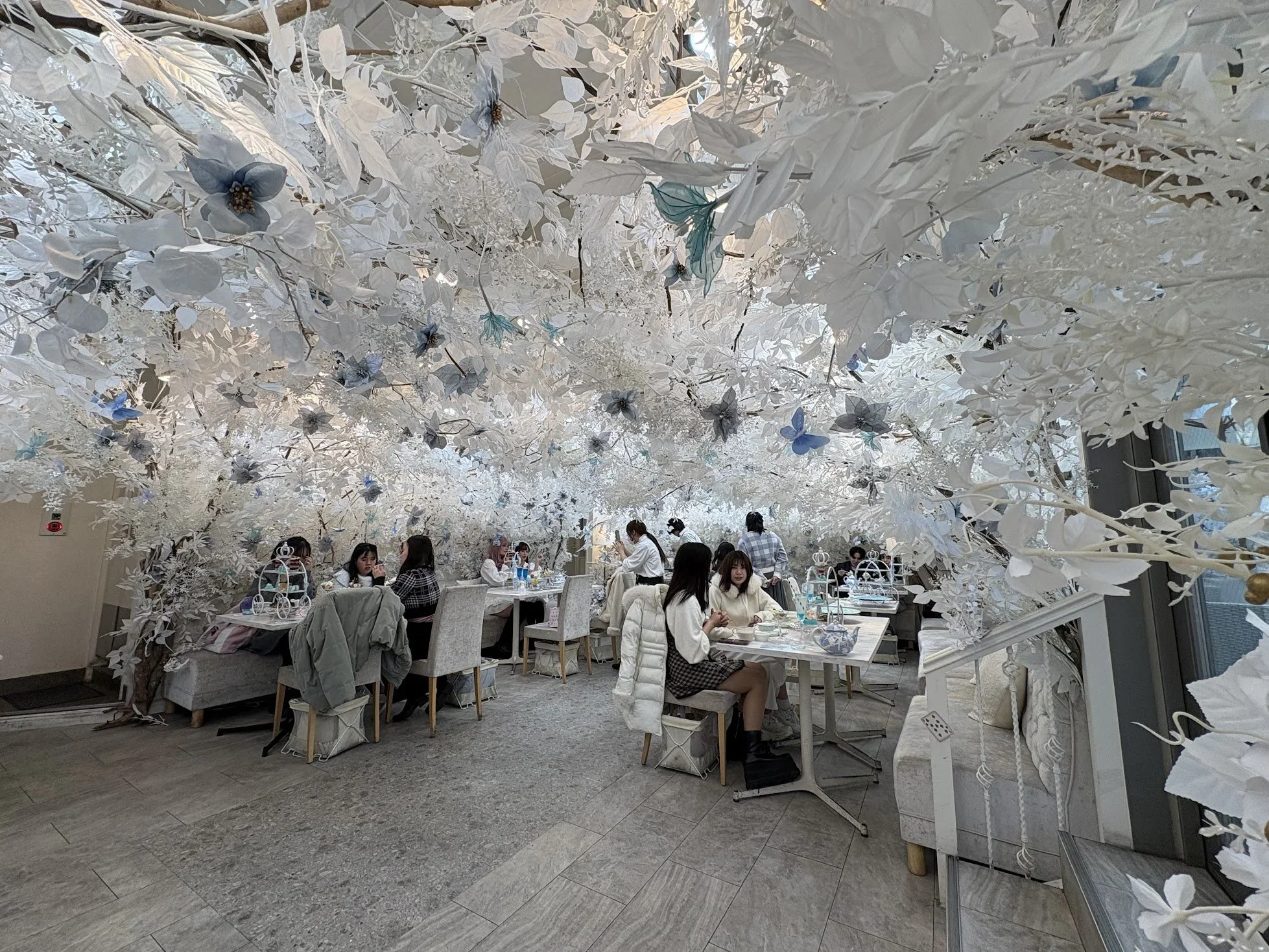 A wide shot of a high tea venue with white feathers and blue butterflies all over the ceiling and walls in Harajuku in Tokyo, Japan.