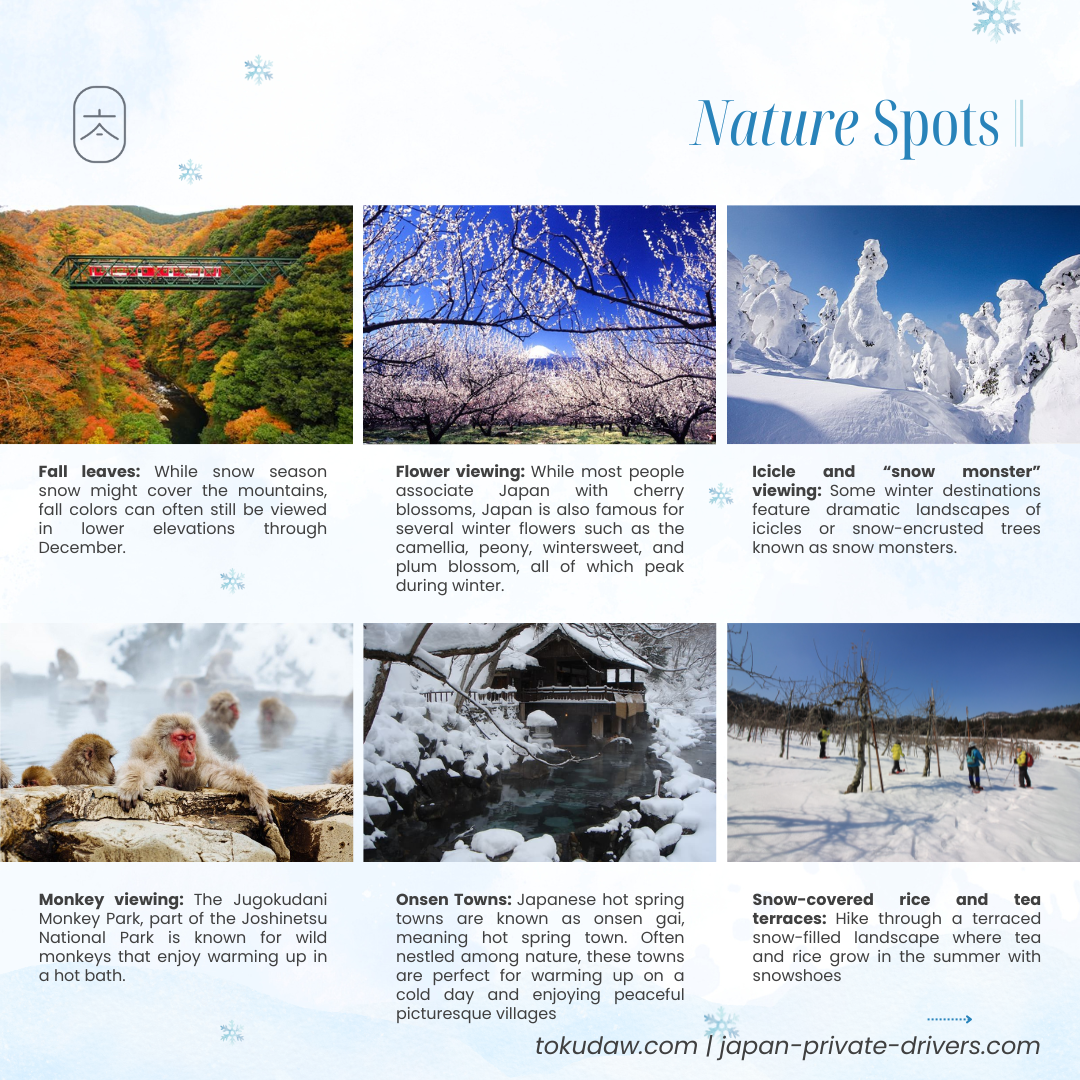 TokudAw infogrpahic on winter activities in nature that is not skiing such as leaf viewing in some parts, flower viewing, icicle and snow monster viewing, monkey viewing, onsen hopping, and rice terrace viewing.