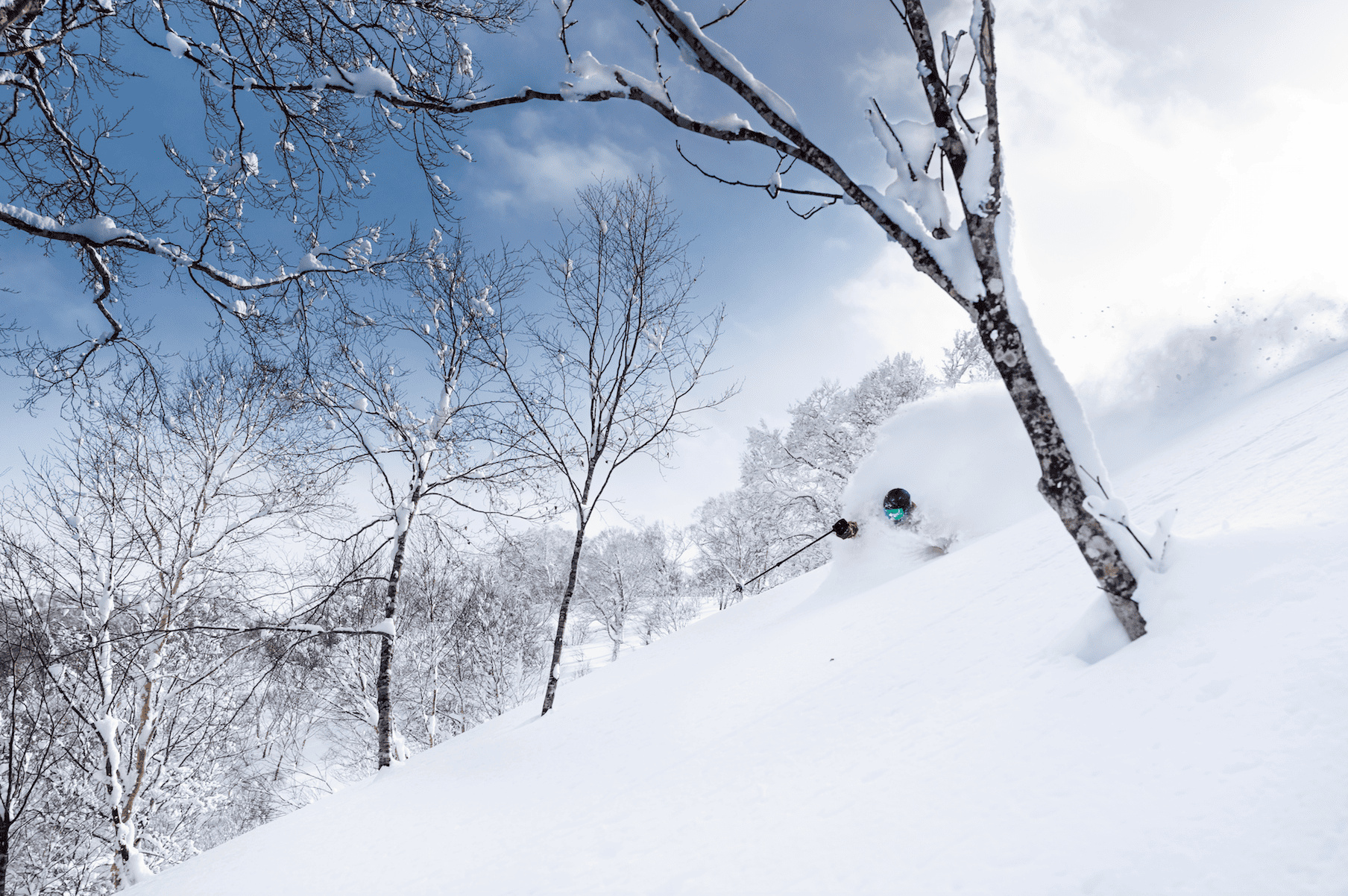 A skier skis through the backcountry powder in Japan on a bluebird day in an La Nina, or very snowy winter.