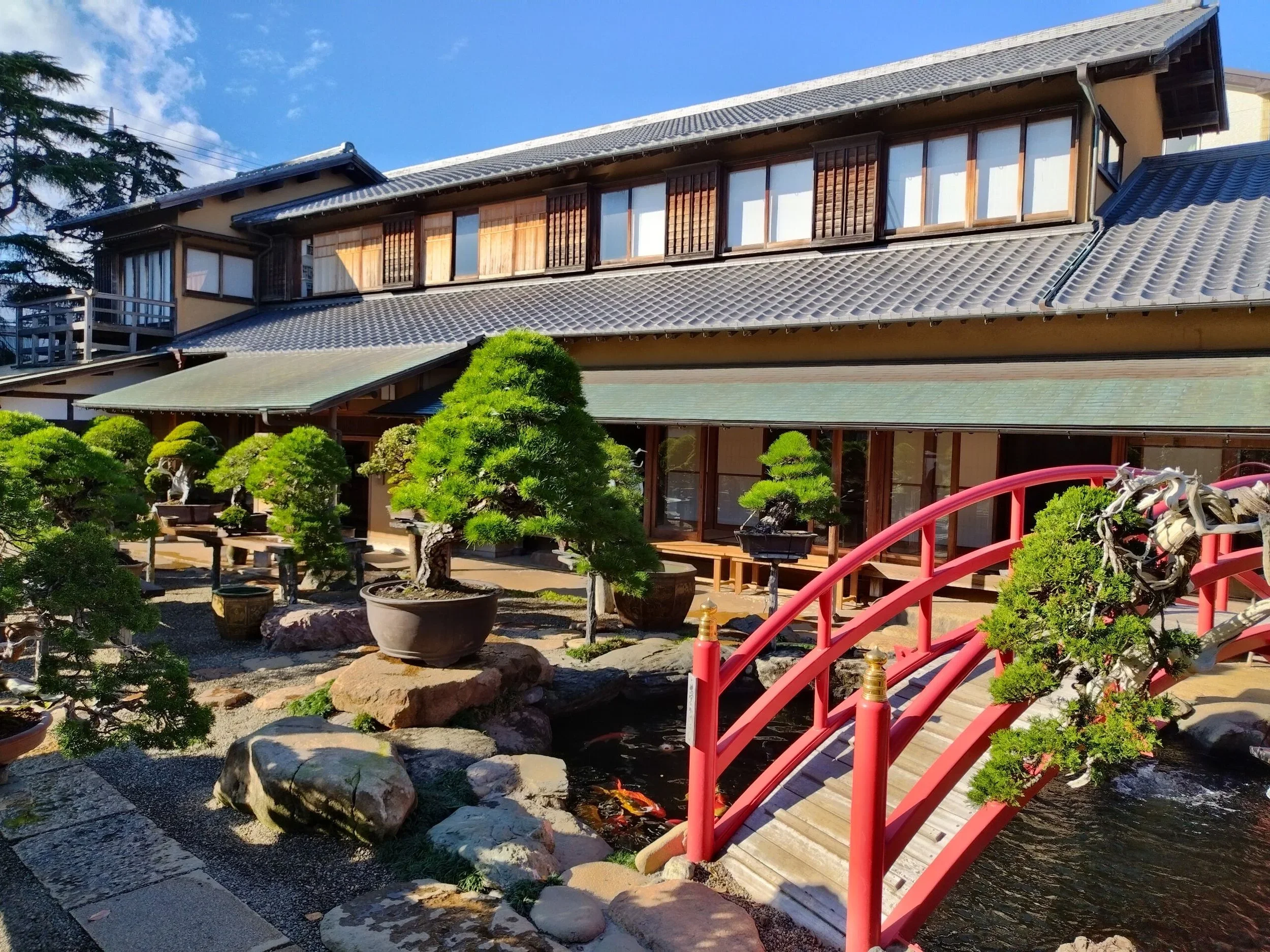 A traditional style 2-story wooden Japanese house with a red bridge and many bonsai trees in pots outside.