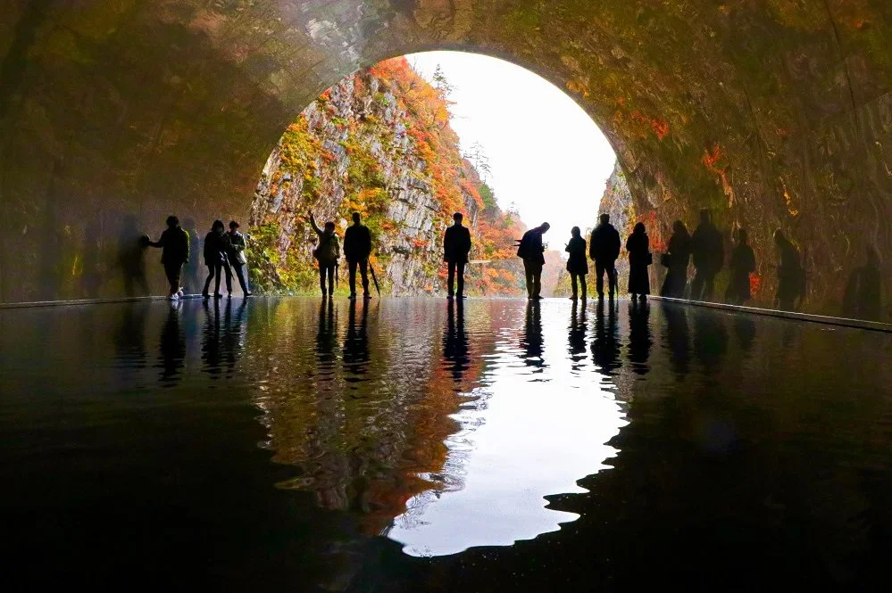 A tunnel with a mountain scene at the end and a reflecting pool inside the tunnel reflects the mountain scene and the half circle entrance of the tunnel forming a full circle in Niigata, Japan.
