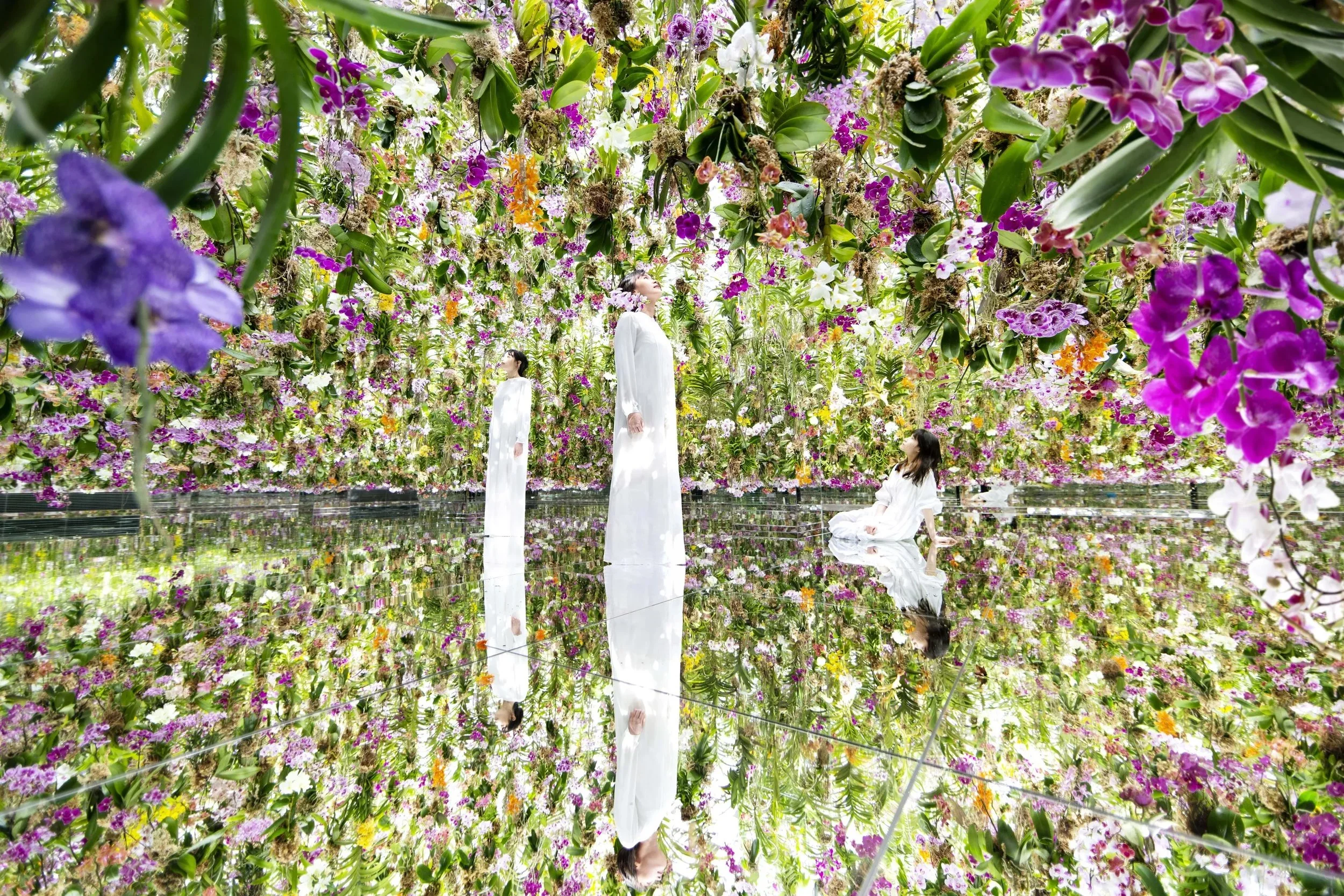 Image of three women in white standing among a room of infinite flowers.