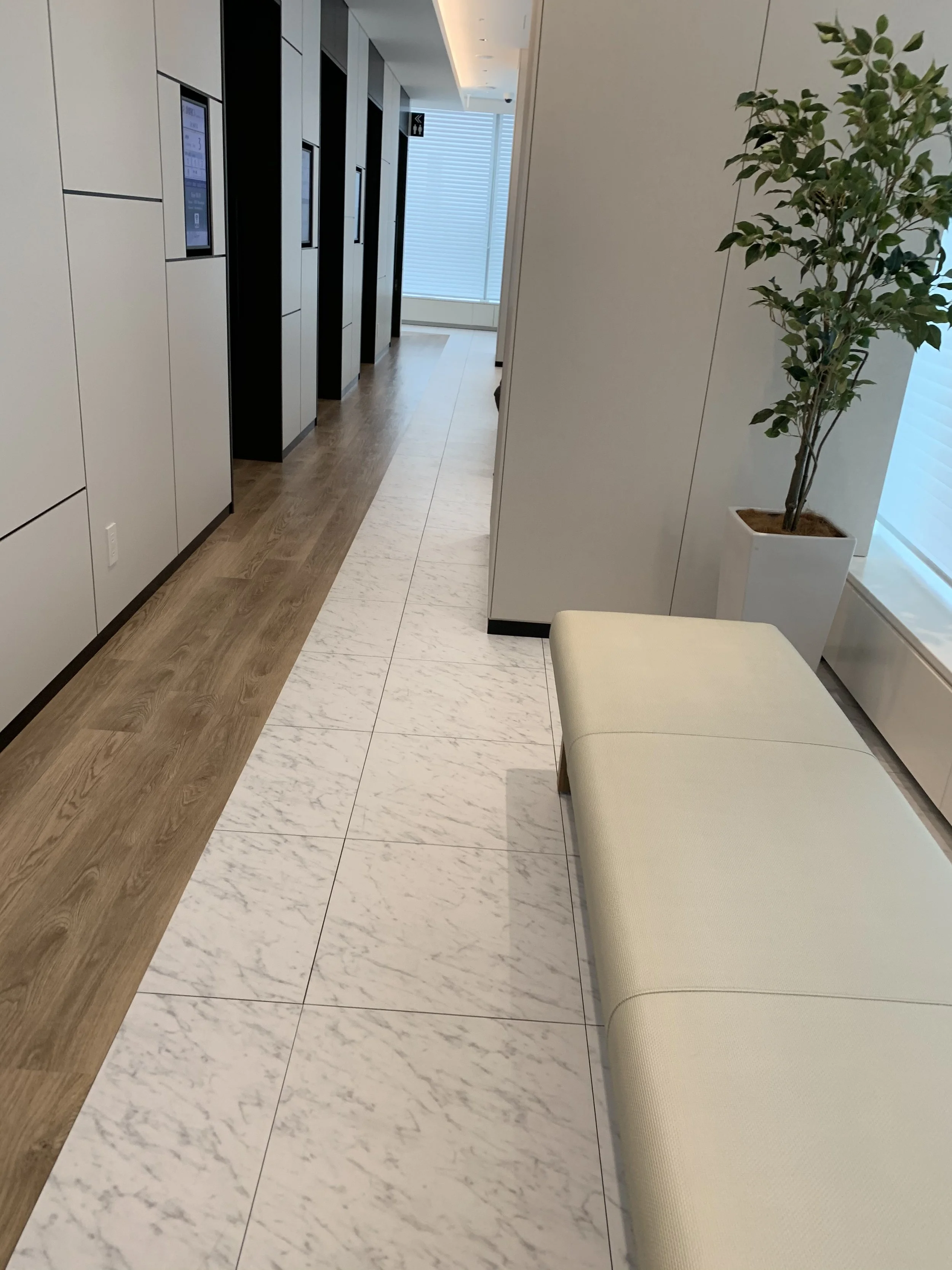 Clean white waiting room hallway with a plant in the corner.
