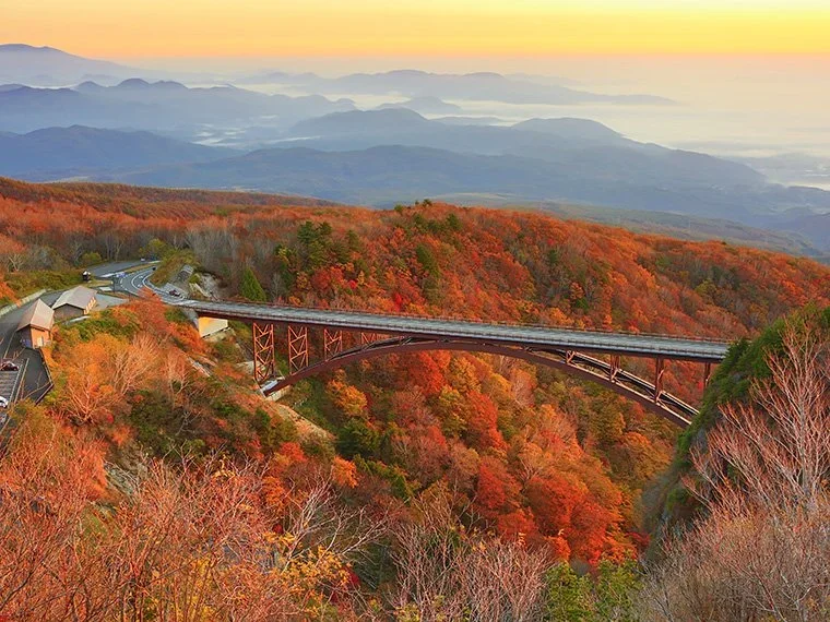 A metal bridge arched over a tree lined gorge of brilliant fall colors that rival New England in the USA.