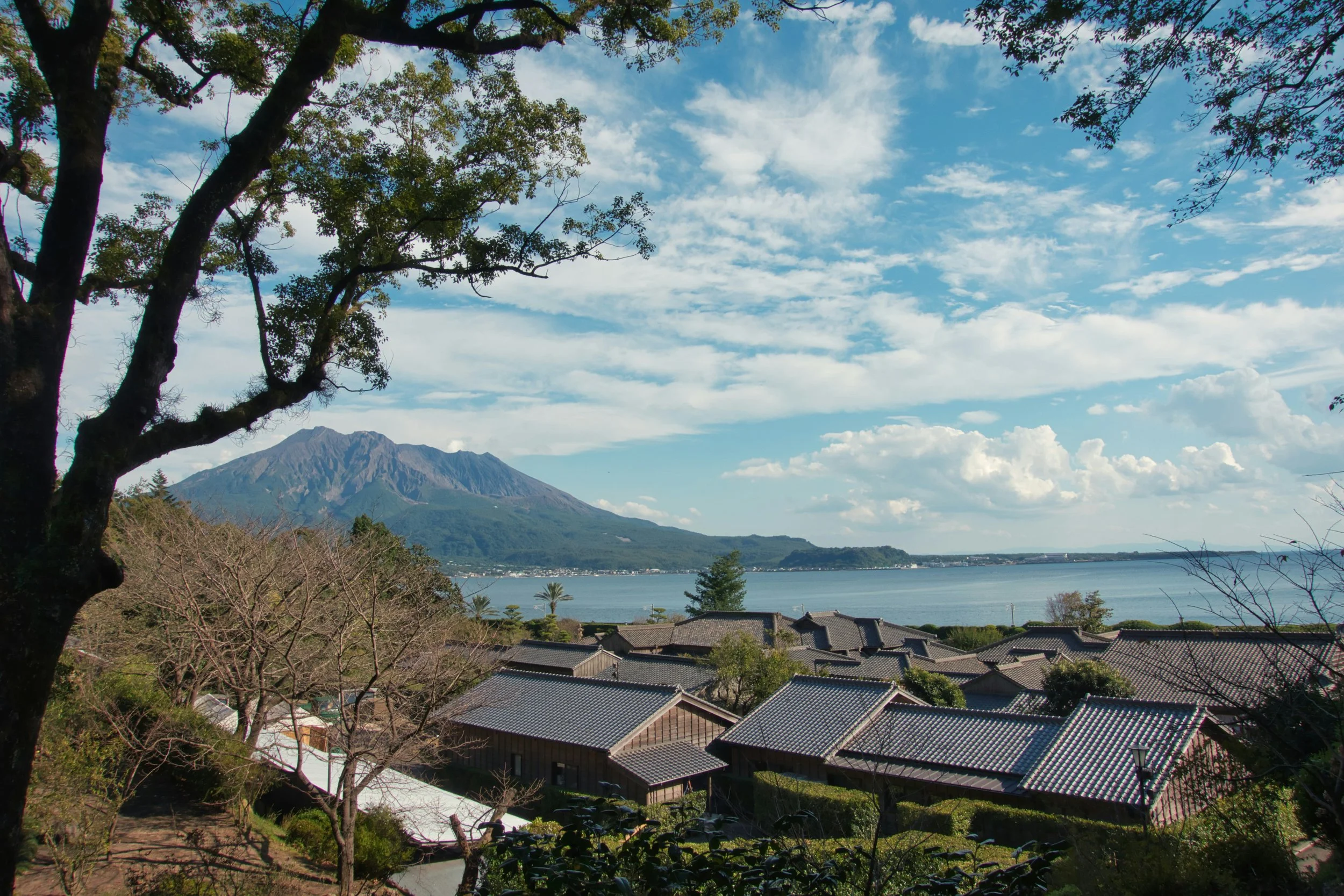 A distant view of Sakurajima with trees and Japanese rooftops in the foreground