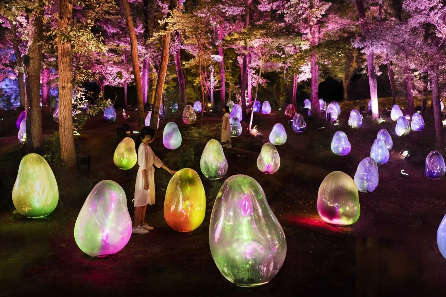 Night view of Osaka botanical garden with egg shaped light up sculptures about half a human tall in a forest.
