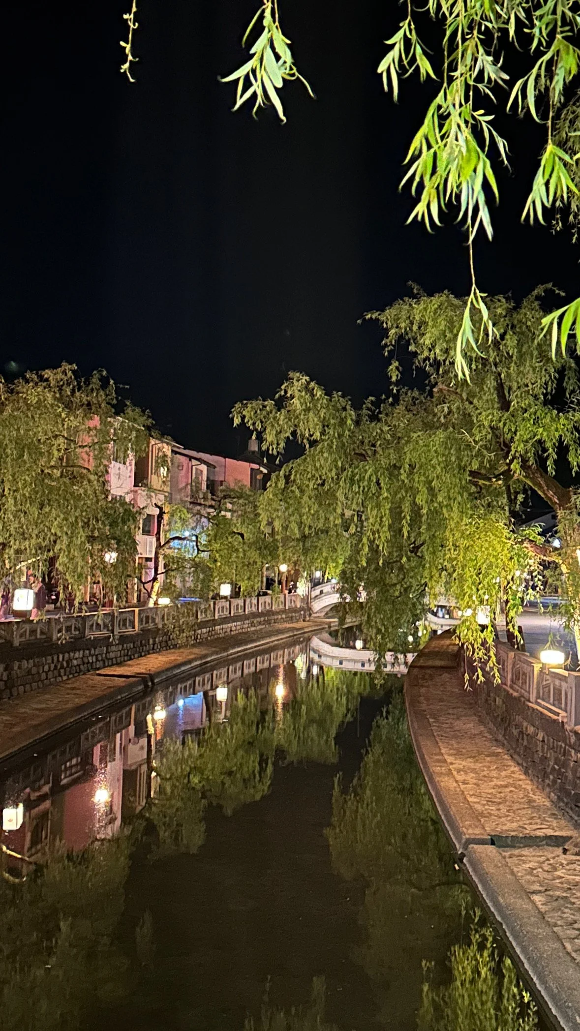 Night scene of a canal with trees and buildings reflected on the water, illuminated by street lamps along the pathways.