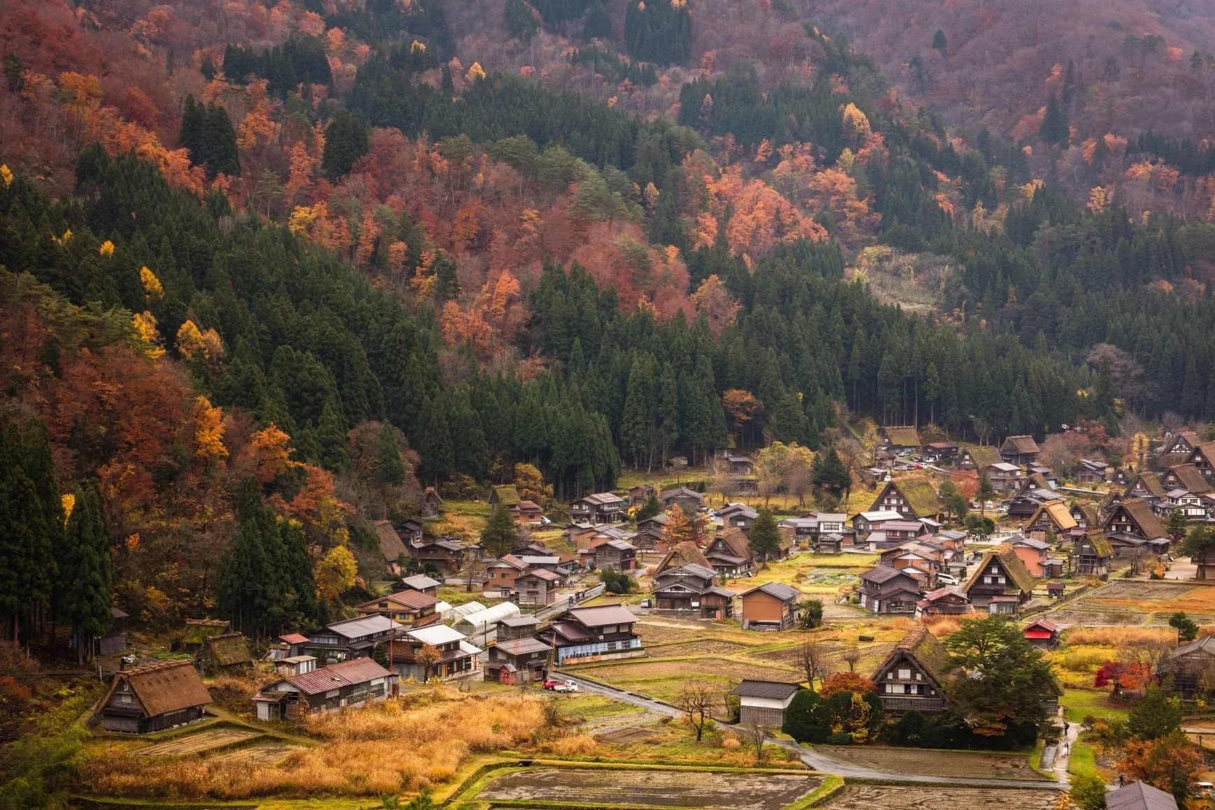 Japanese traditional village at the base of a mountain in fall.
