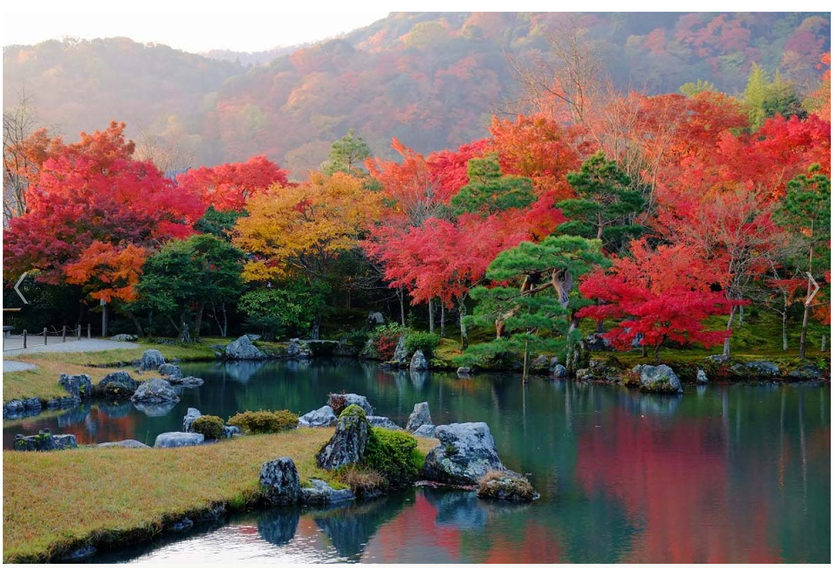 A Japanese garden with vibrant fall colors, a rock garden and water feature.