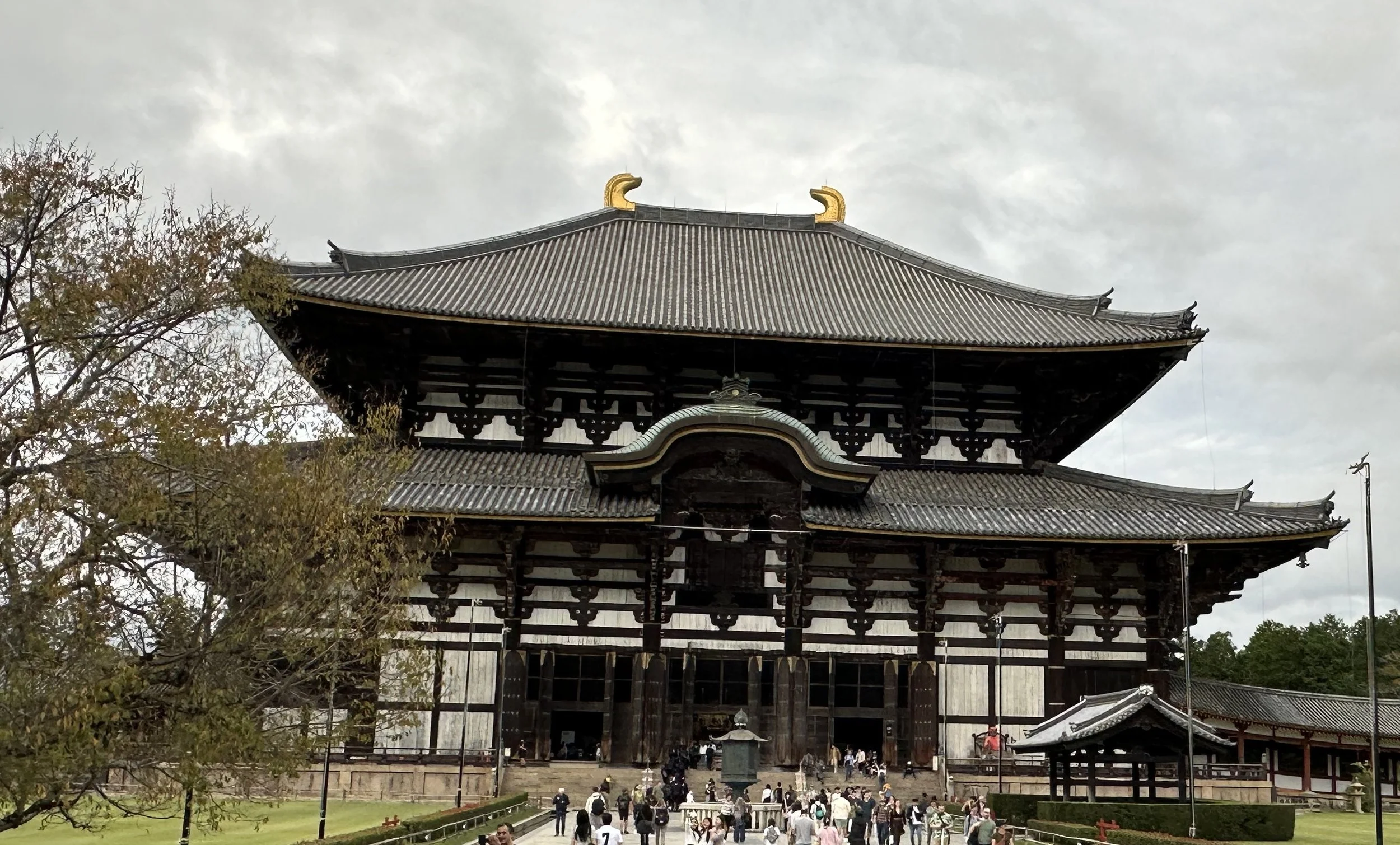 Large 2-story Japanese wooden temple building painted white in parts with a tree in the foreground located in Nara, Japan near Kyoto.