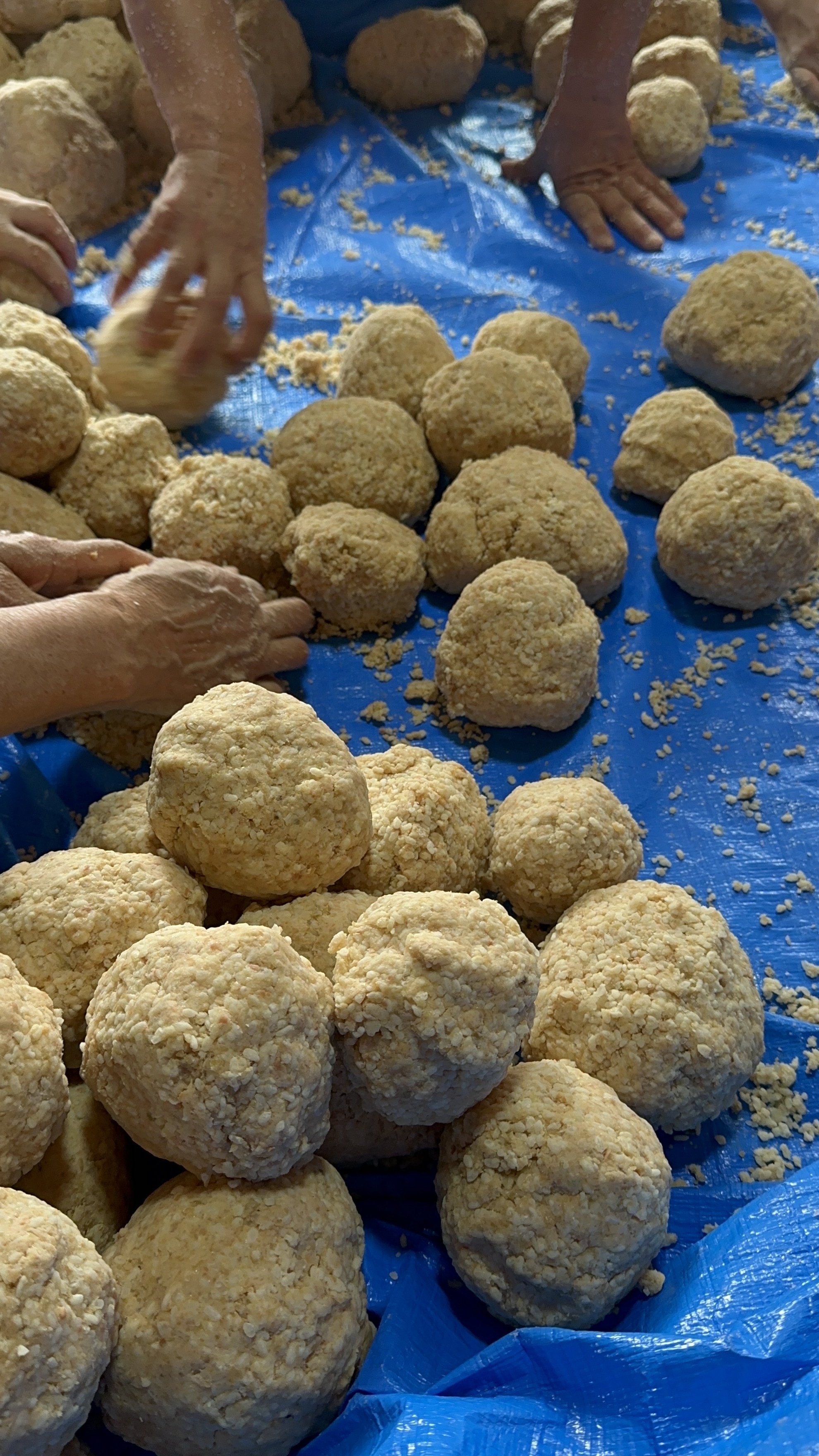 A group experience of miso making, the image shows rice and koji being formed into grapefruit sized balls by multiple people on a blue tarp.