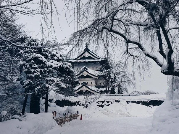Japanese castle in Hirosaki covered in snow with trees in the foreground.