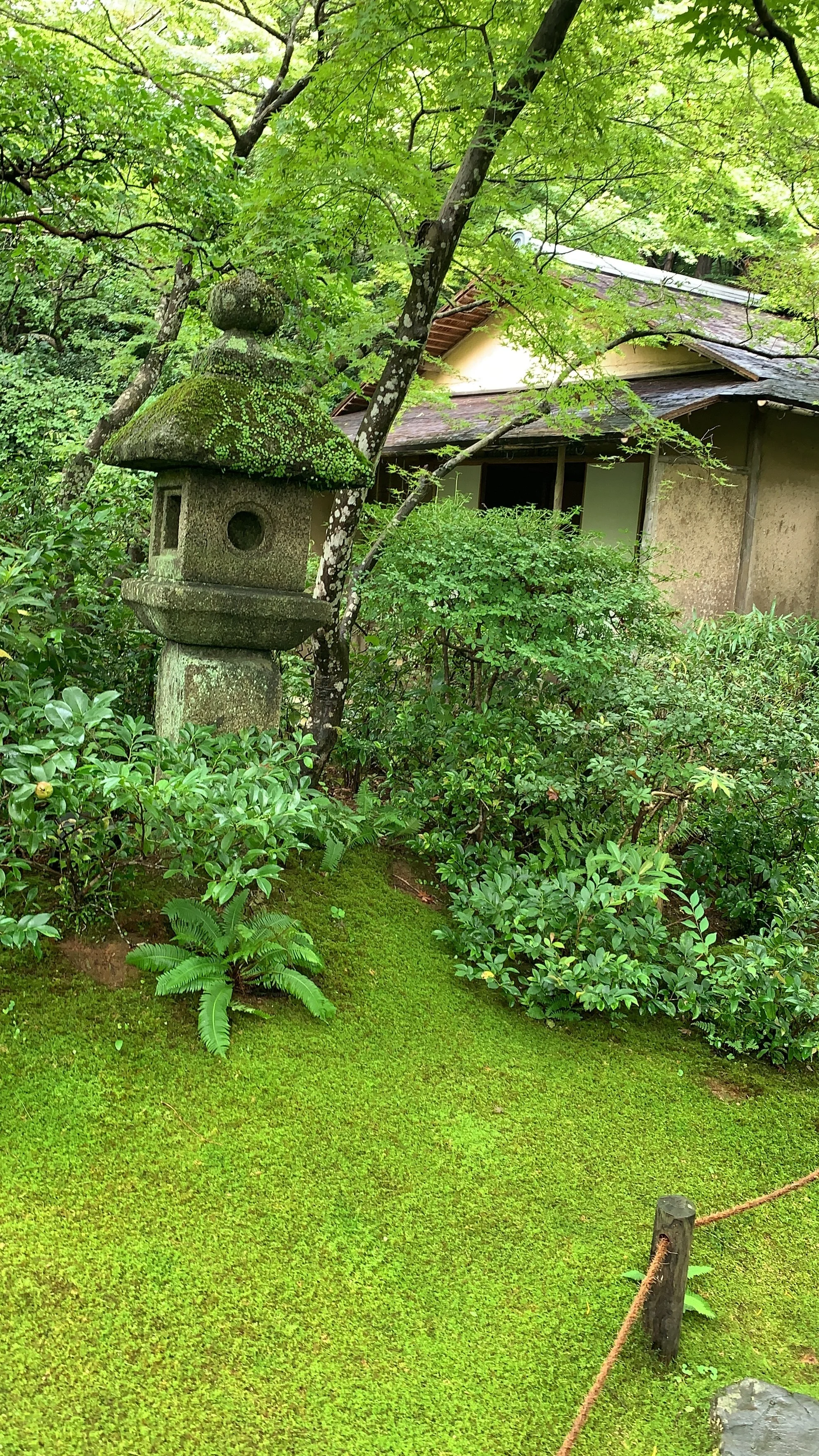 A stone lantern covered in moss outside a traditional Japanese building in a Japanese garden with lush greenery in Kyoto, Japan.