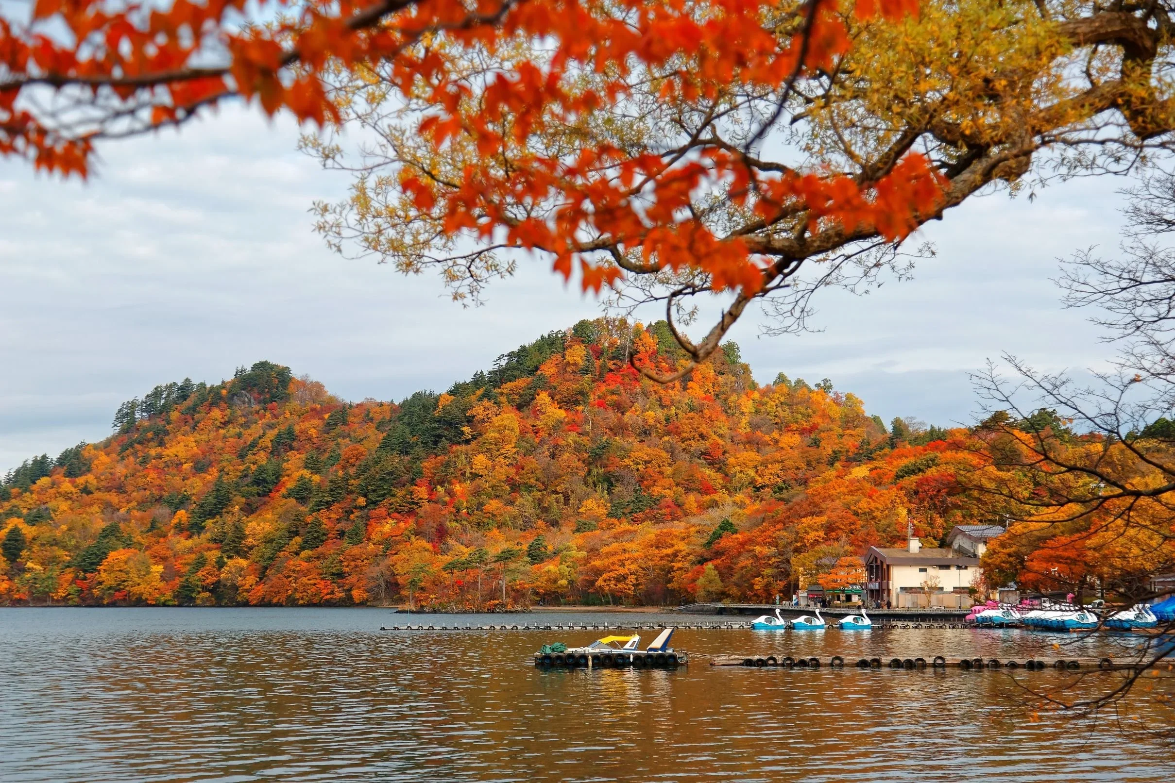 A tree-lined lake in the fall with two docks, one containing swan row boats.