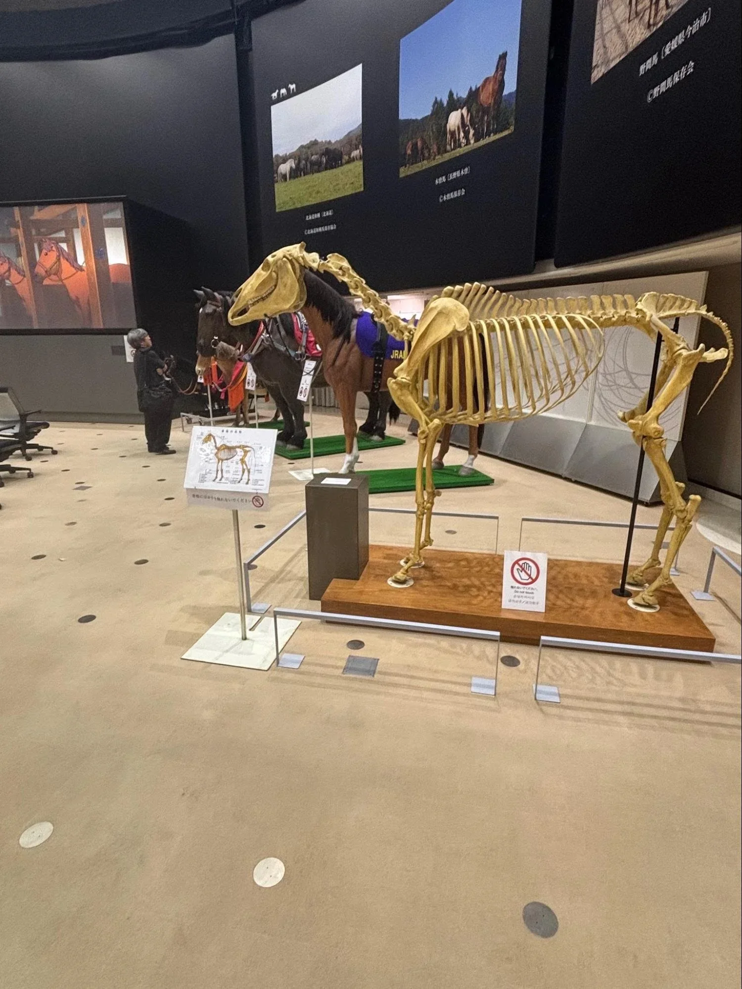 The JRA Tokyo Racecourse Museum