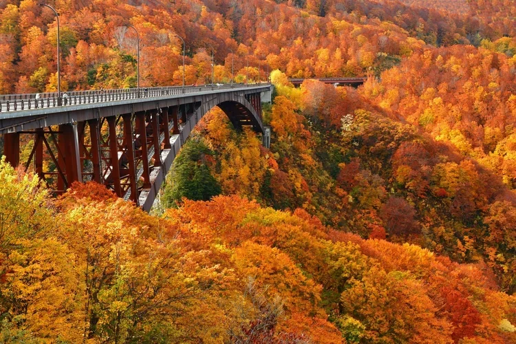 Jogakura Ohashi bridge, a metal arched bridge stretching over a fire colored tree lined valley in Japan.