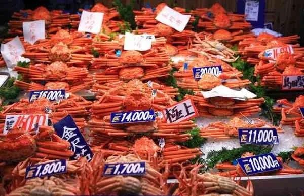 A fish market display of freshly caught crabs rest on ice.