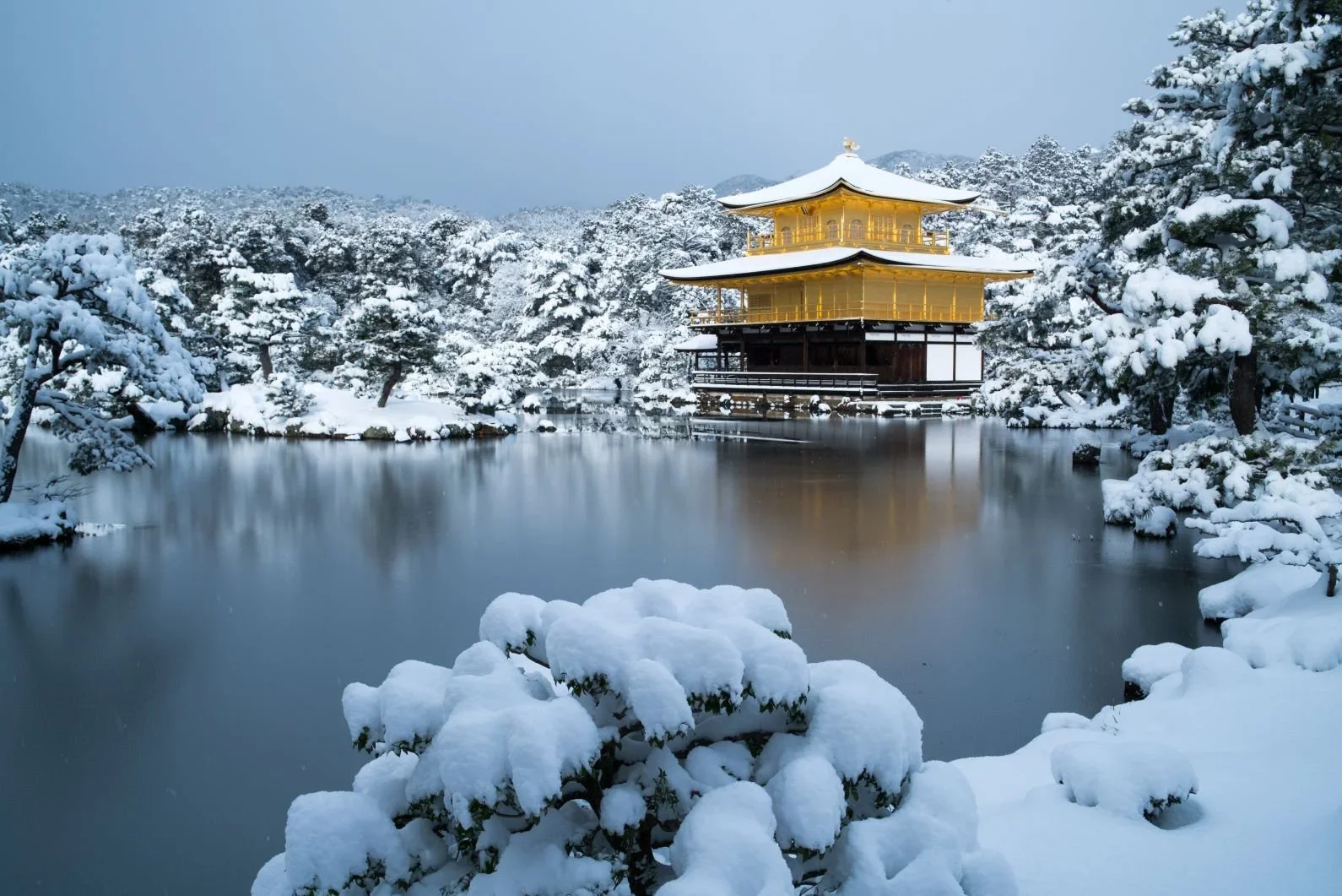 Kyoto's golden temple in the winter with a snow covered Japanese garden surrounding it and a pond in the foreground.