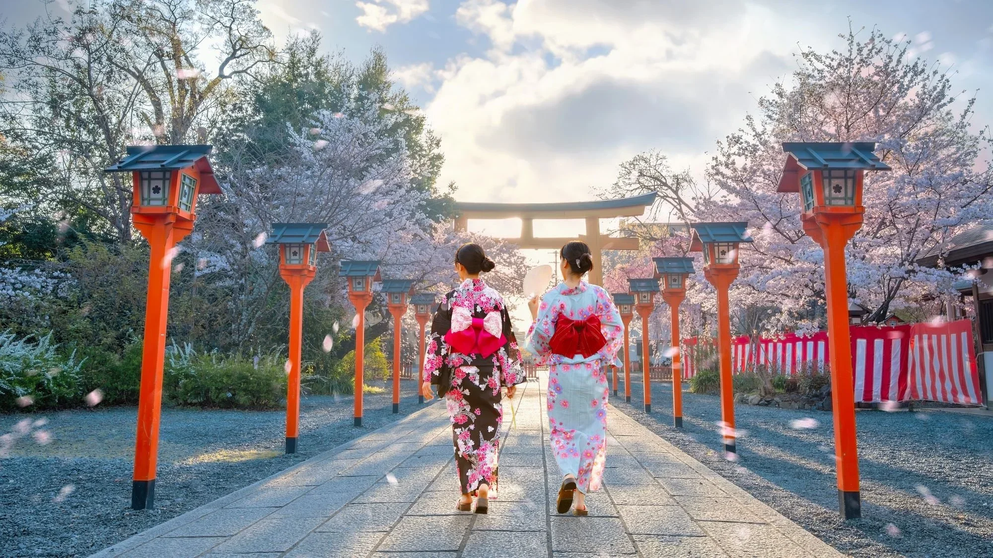Two women wear a yukata or summer kimono walking through a shrine in cherry blossom season as petals fall on a cloudy day.