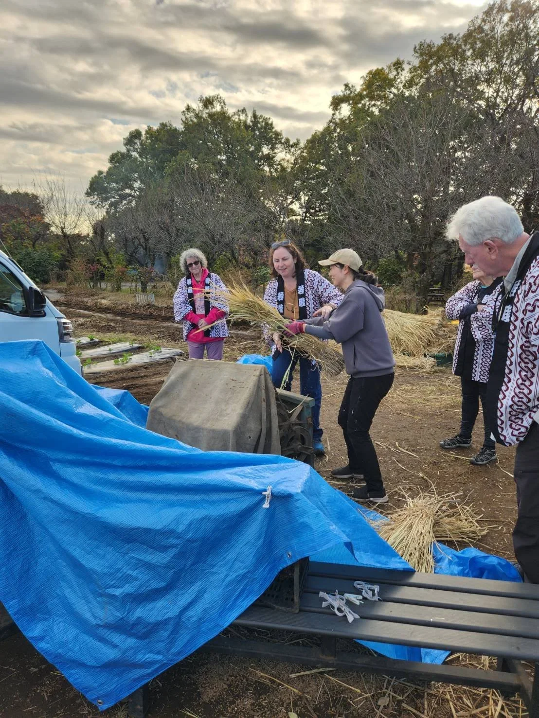 Several guests wearing Japanese jackets help local farmers move bushels of rice.
