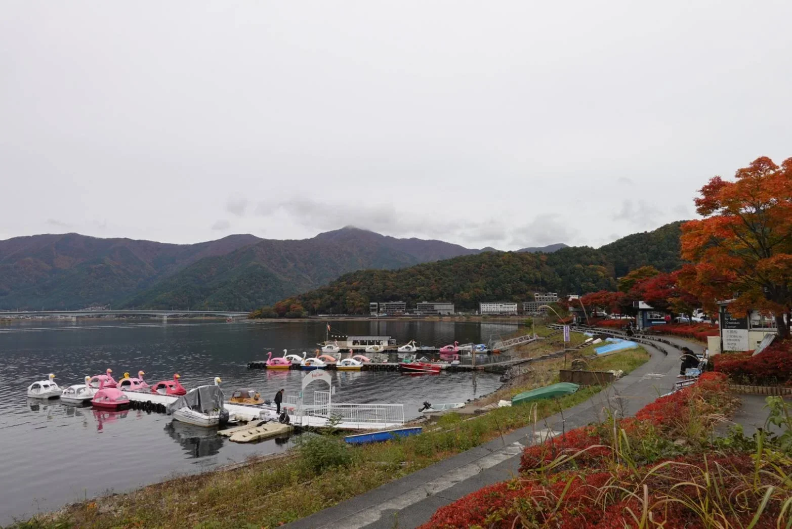 Fall views at the lake at the base of Mount Fuji on a cloudy day with swan boat paddle boats in view at a dock.