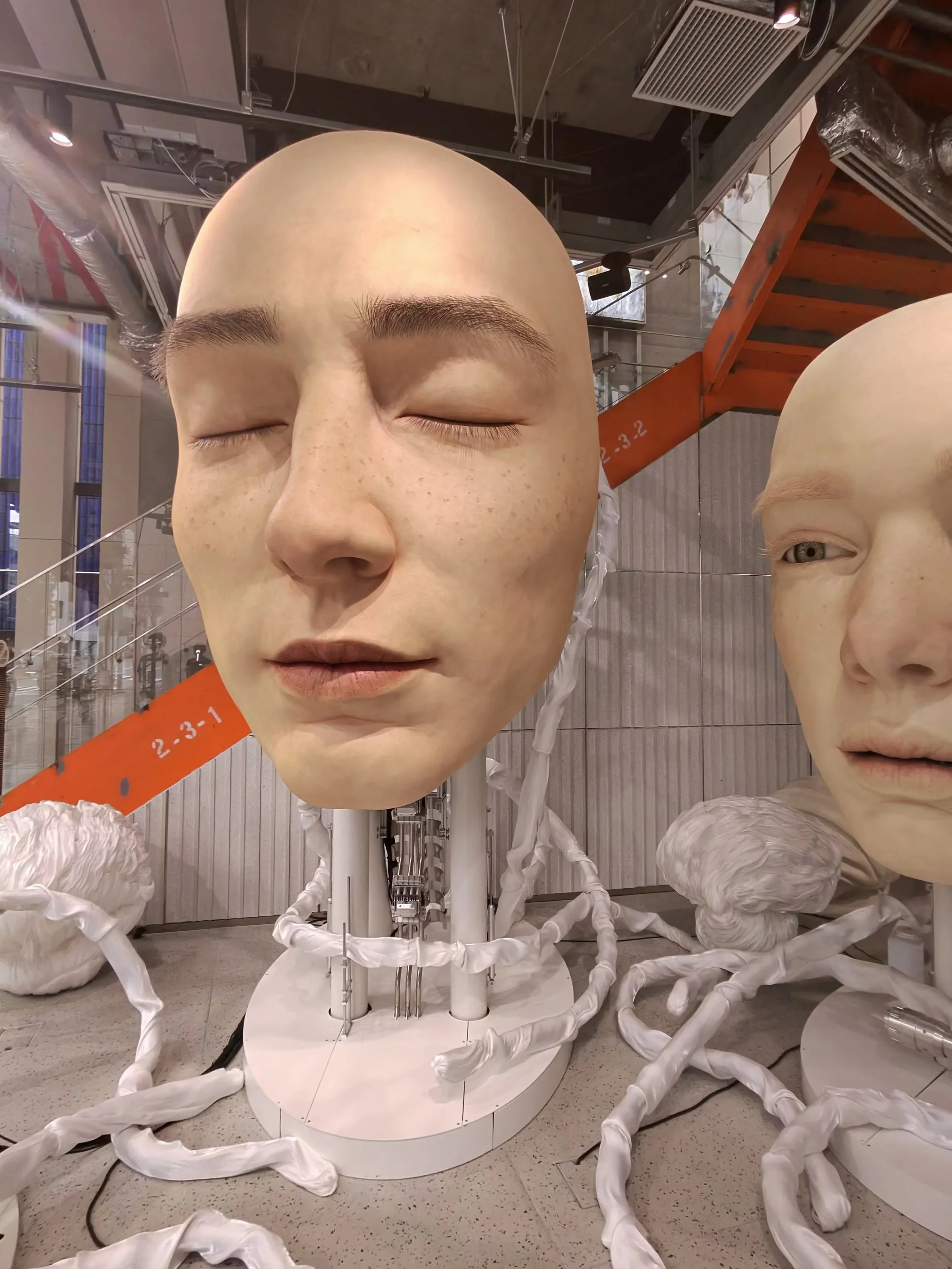 Two giant robotic heads mounted to a column with silk ropes attached at the Gentle monster store in Aoyama, Tokyo.