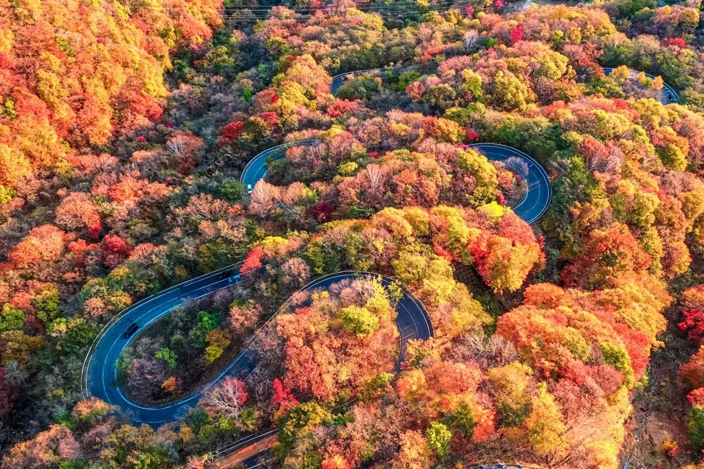 An overhead shot of a fall scene of Irohazaka's hairpin turns in a mountain landscape in rural Japan.