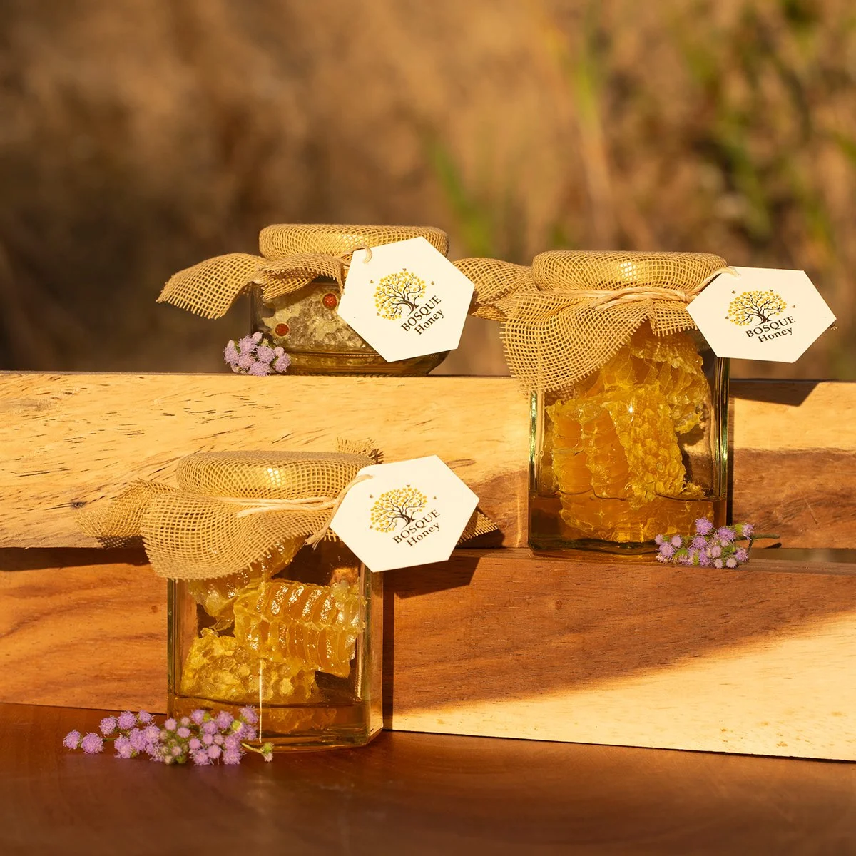 Honeycombs.jpg (Copy)