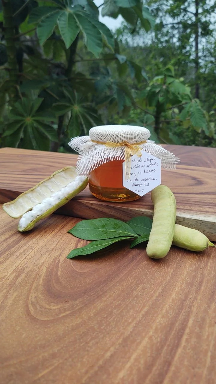 Bosque Honey displayed with Pacay pods, soft white pulp, and green leaves.