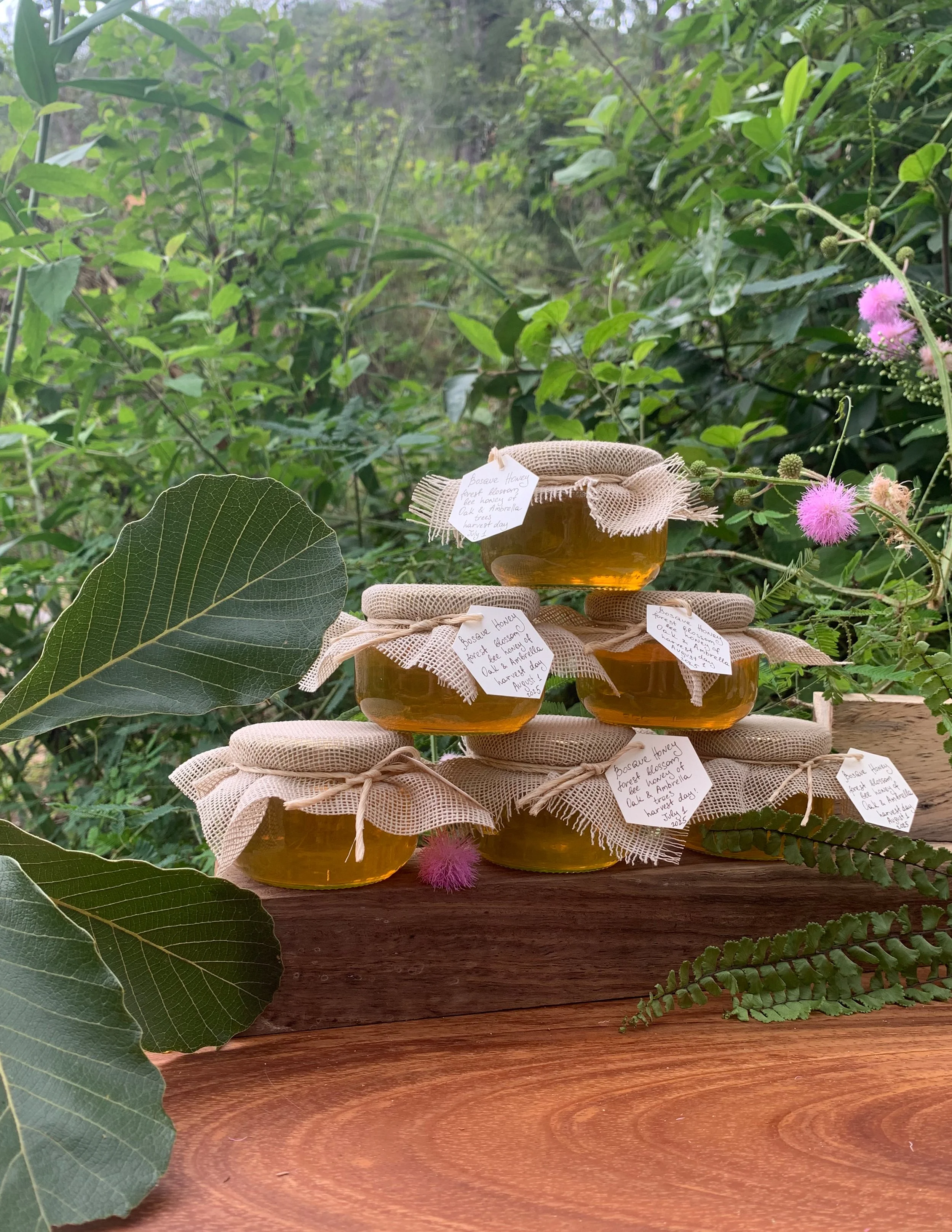 Small jars of honey with handwritten labels, placed on a rustic wooden surface outdoors surrounded by green plants, leaves, and pink flowers.