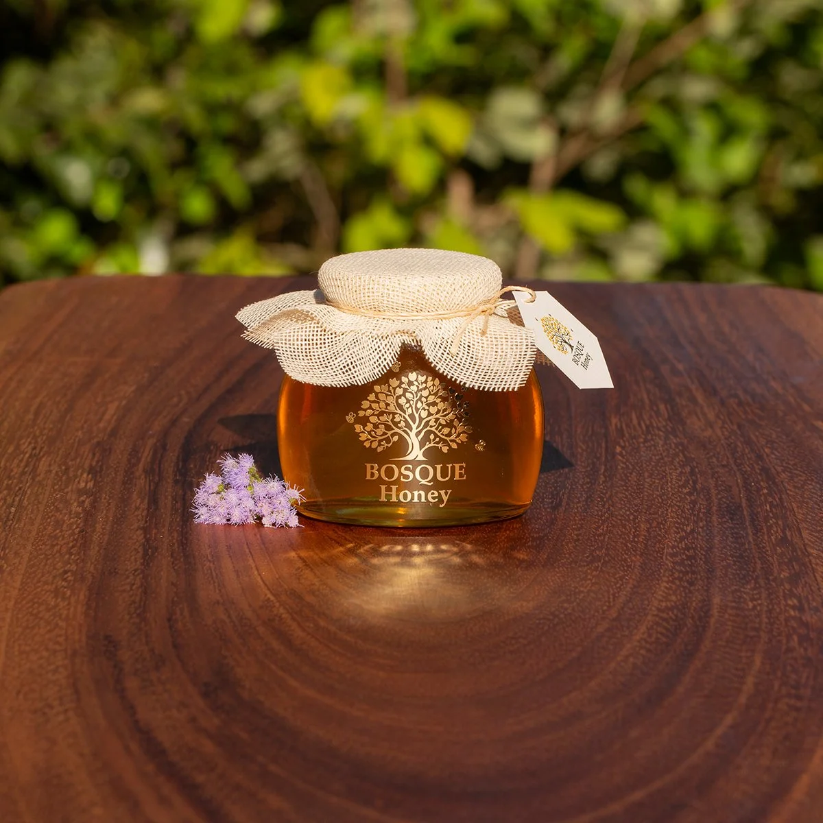 Wild Forest Snowbell Blossom Honey