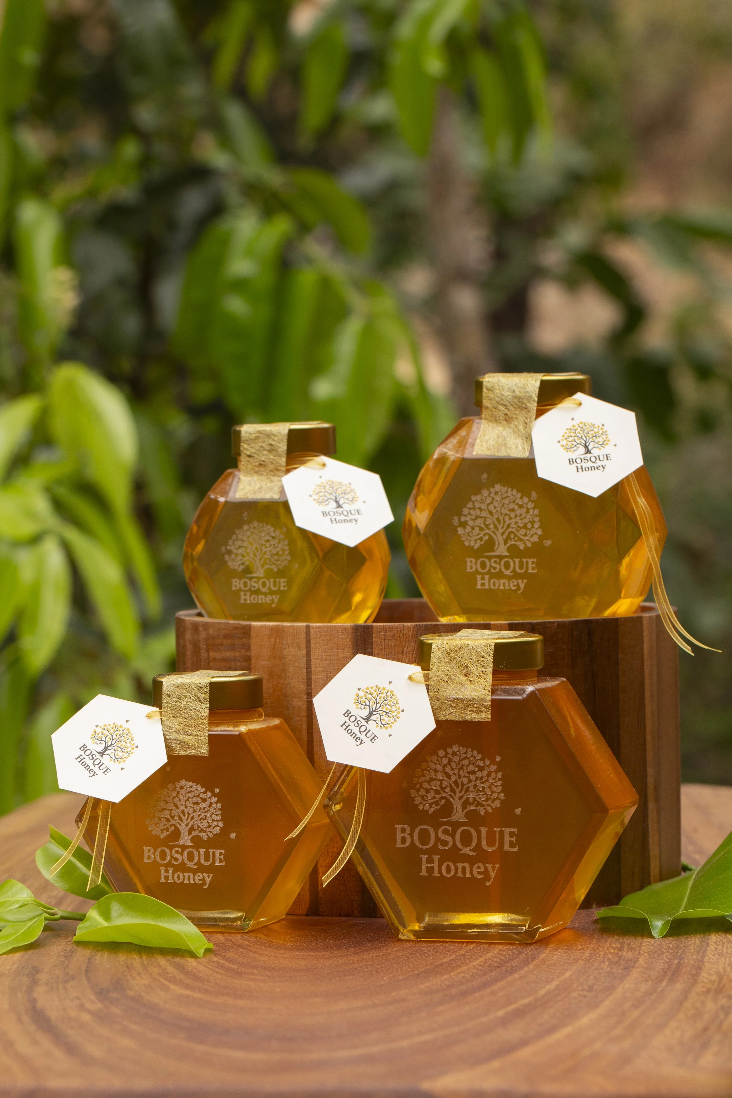 Three jars of honey labeled "Bosque Honey" placed on a wooden surface with green leaves around them, outdoors with a blurred background of greenery.