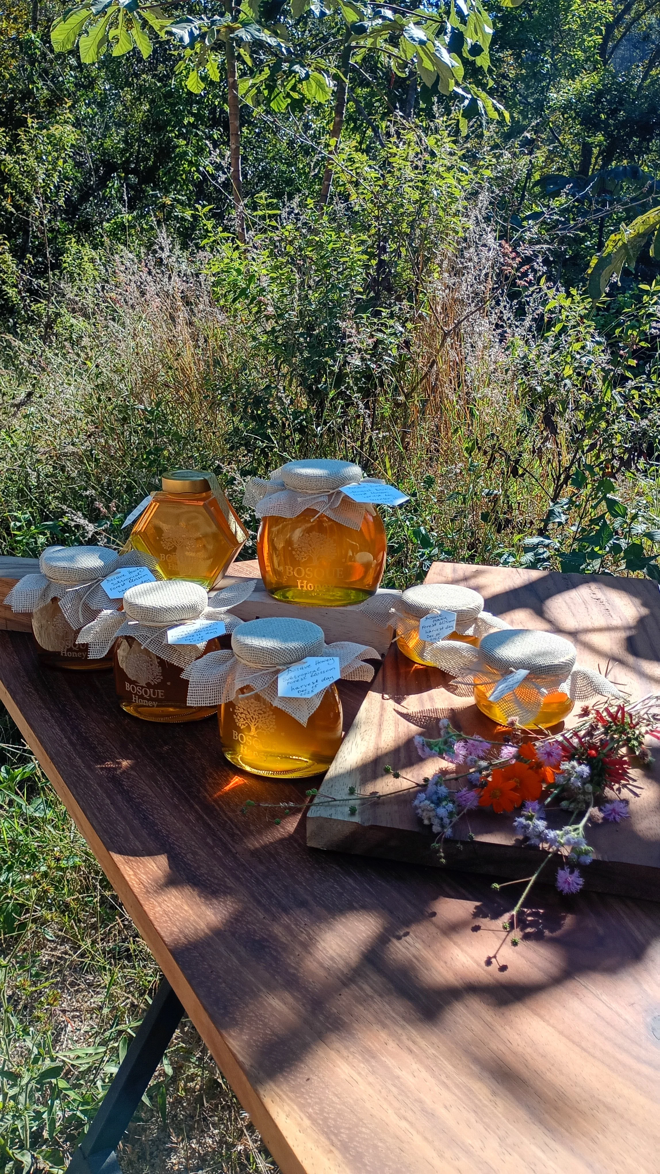 Assorted Bosque Honey jars displayed on a wooden table in the mountain forest.