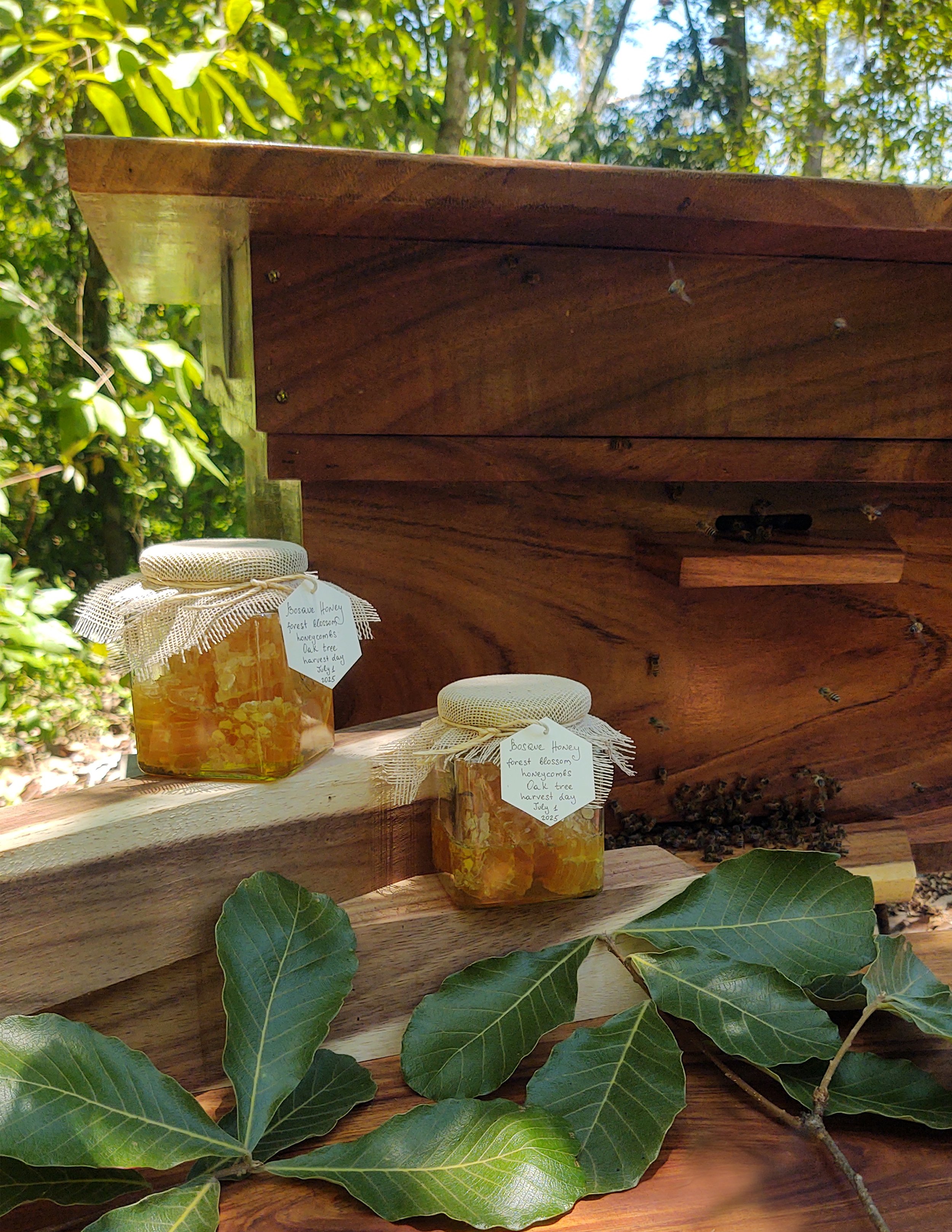 Close-up of two jars of honey with labels, set on a wooden surface outdoors with green leaves and beehive in the background.