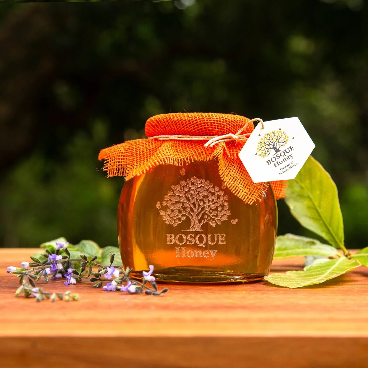 Wild Forest Oak & Parota Blossom Honey 250 ml / 360 g