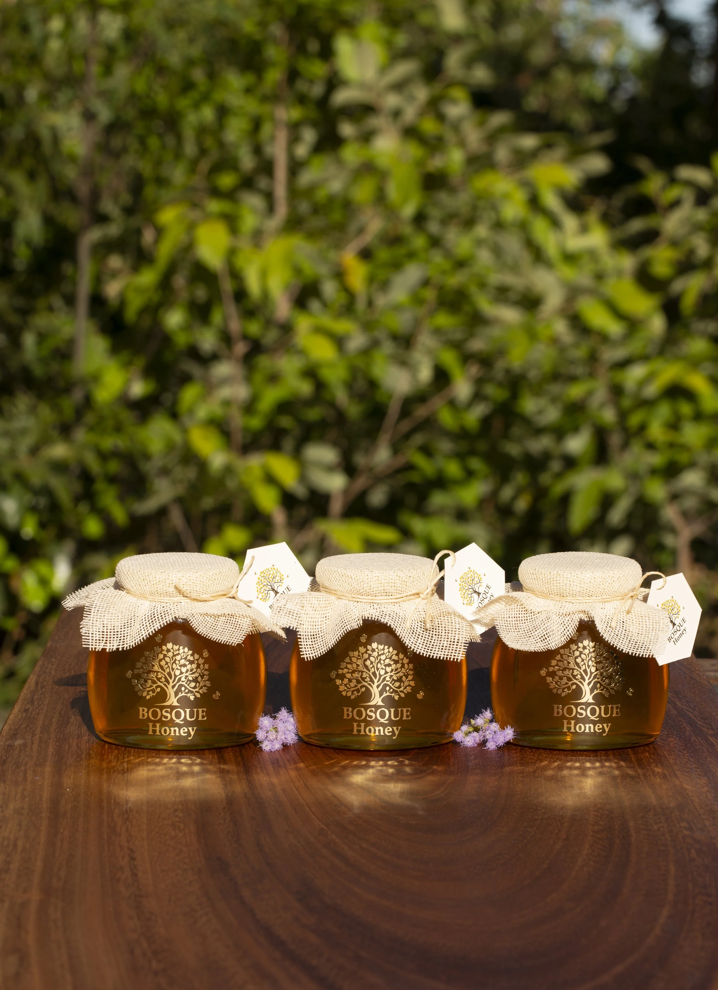 Three jars of Bosque Honey with paper covers, placed on a wooden surface, with a blurred green leafy background.