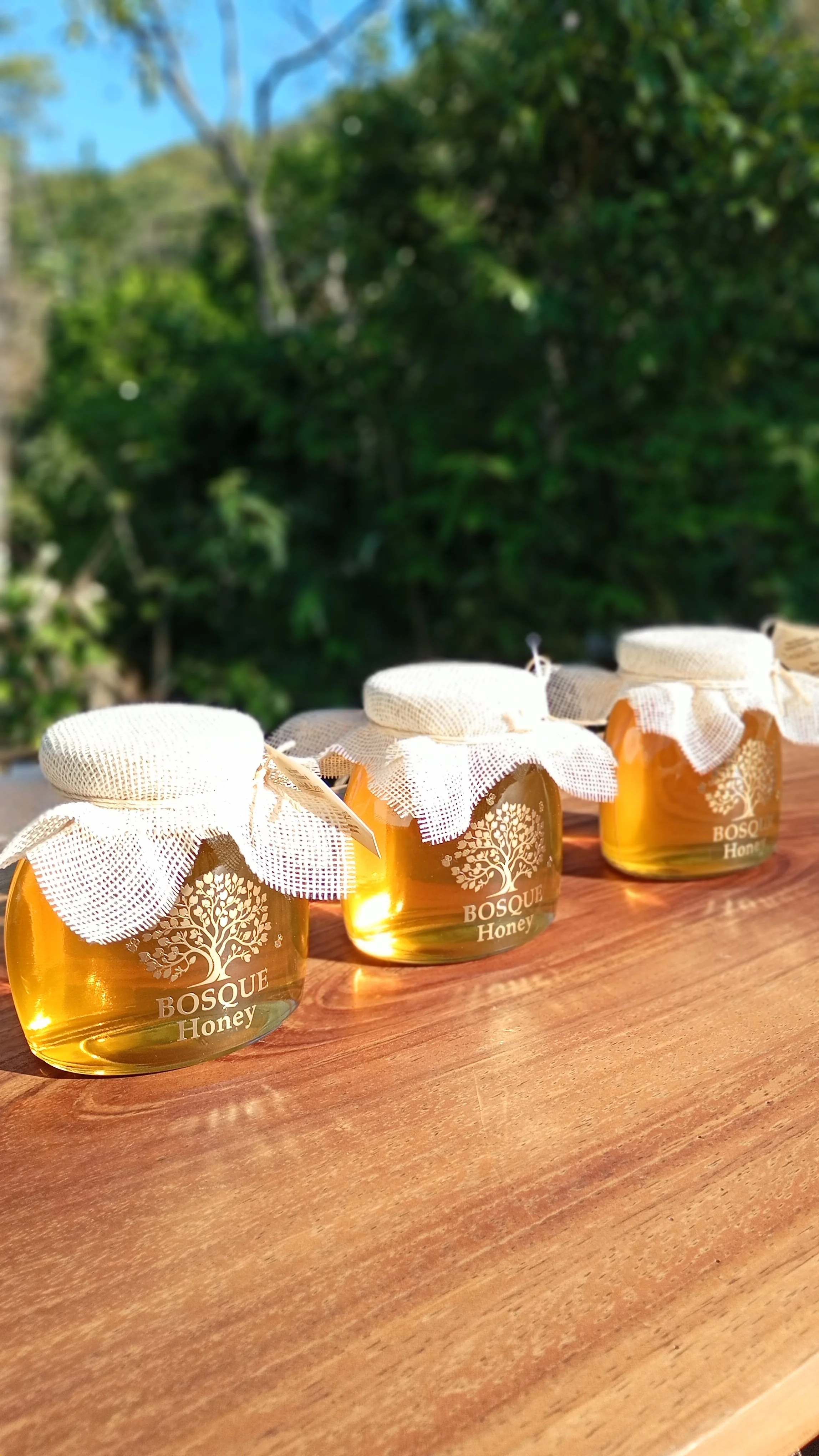 Bosque Honey jars glowing in sunlight on a wooden table beside the forest.