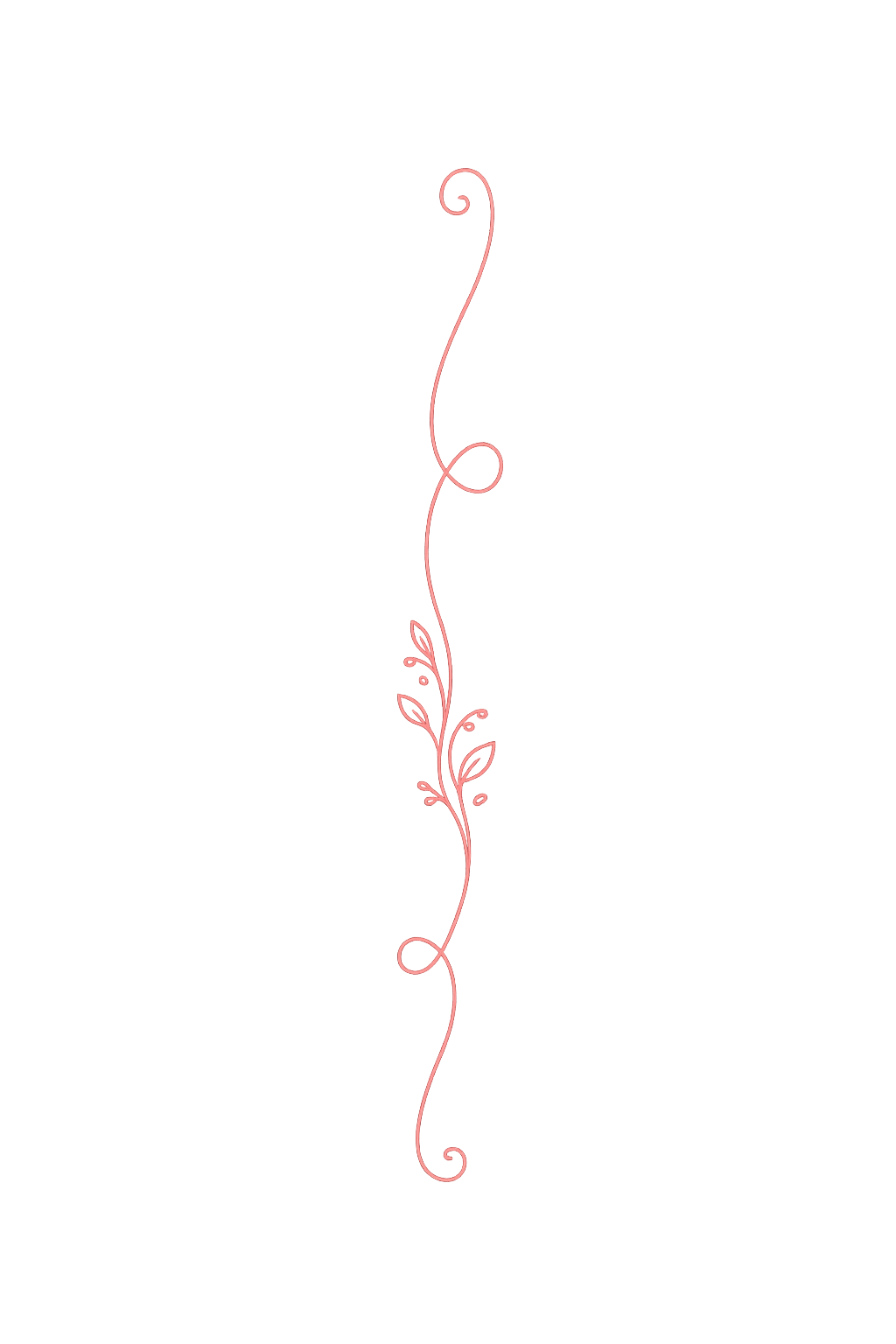Pink decorative flourish design.