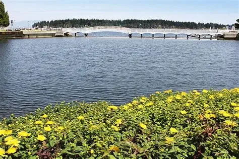 Scenic Nanaimo waterfront view with bridge and coastal landscape