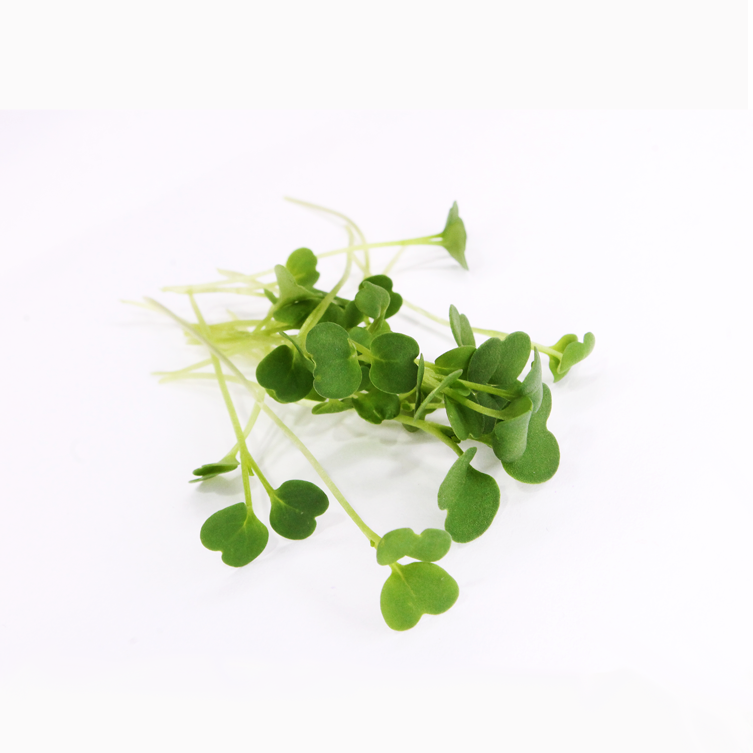 ARUGULA MICROGREEN - FLAVOR PROFILE AND NUTRITION