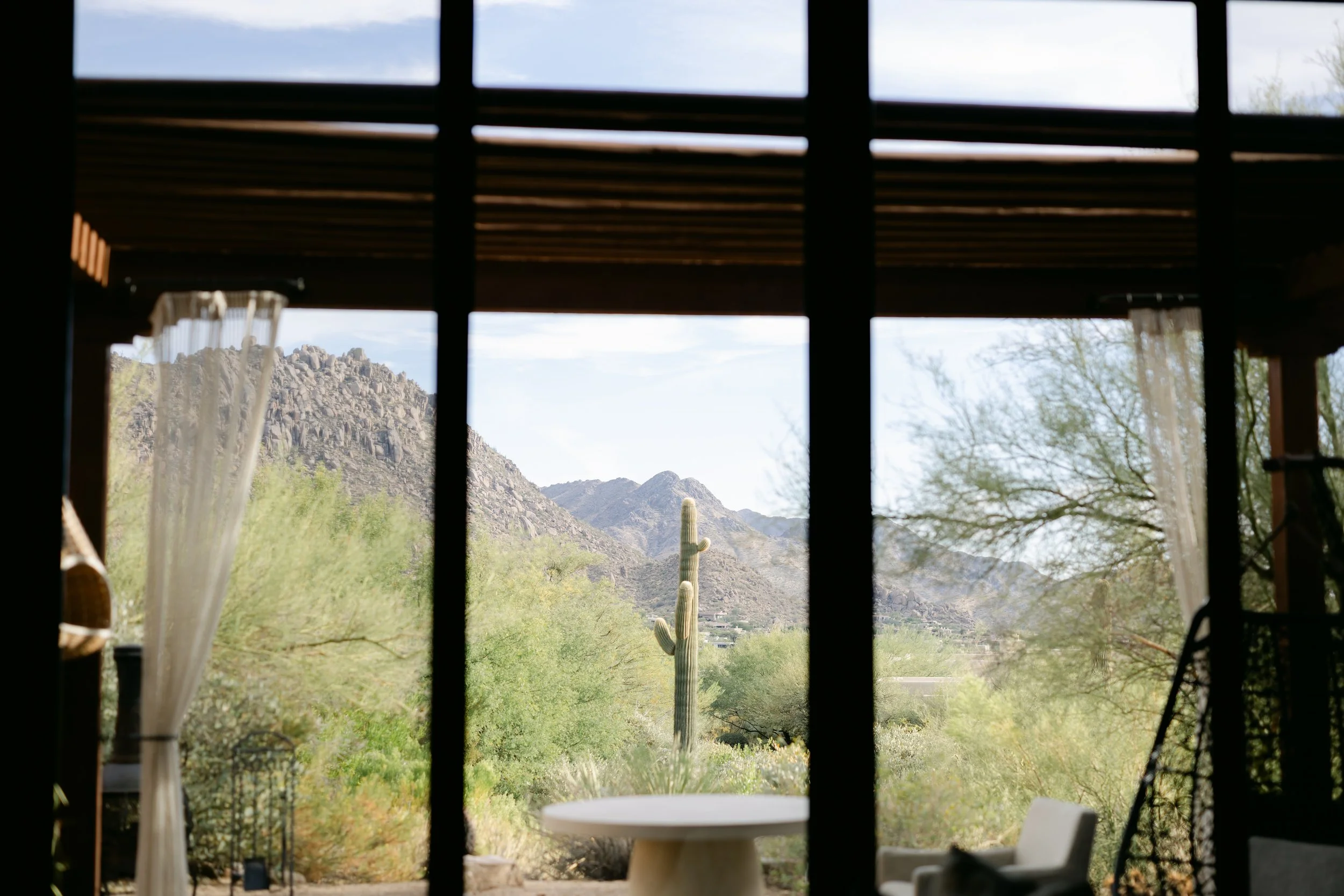 Desert greenery and mountains framed by a shaded window.