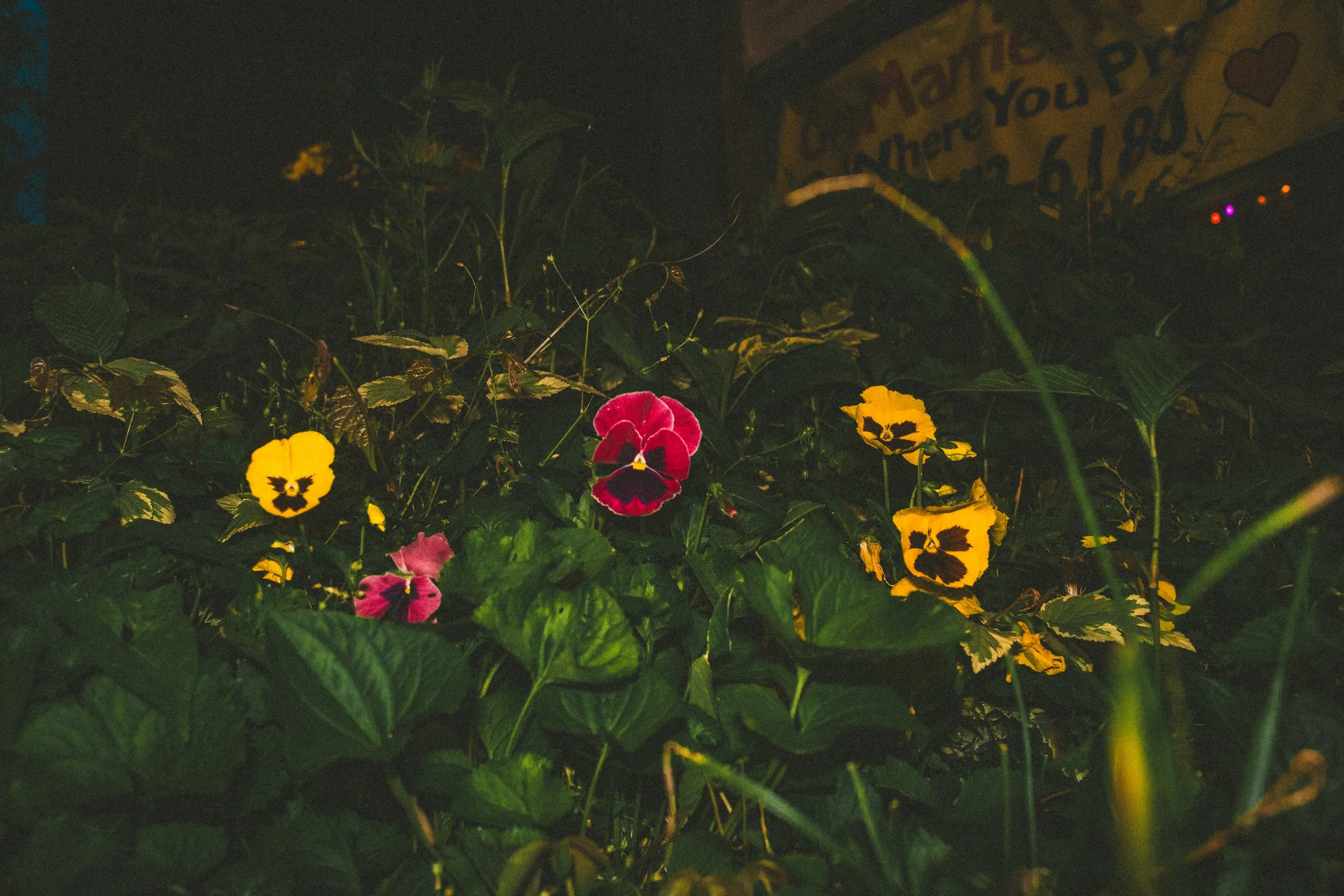 northside misc-6.jpg