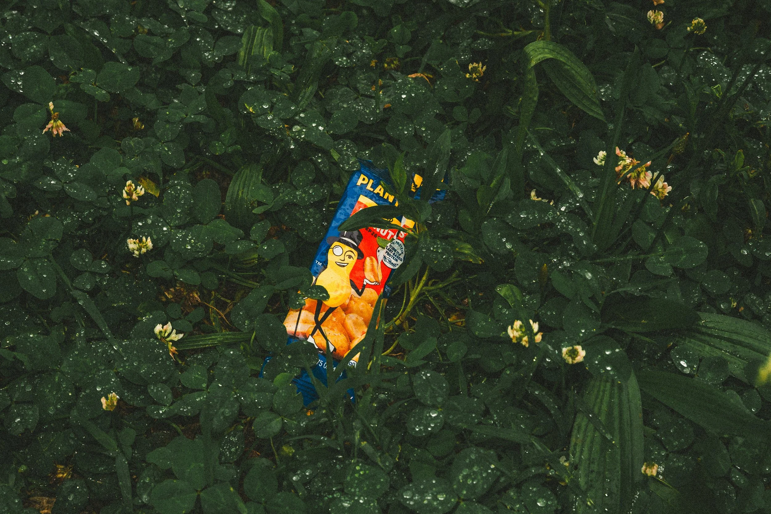 misc nrthsid-74.jpg