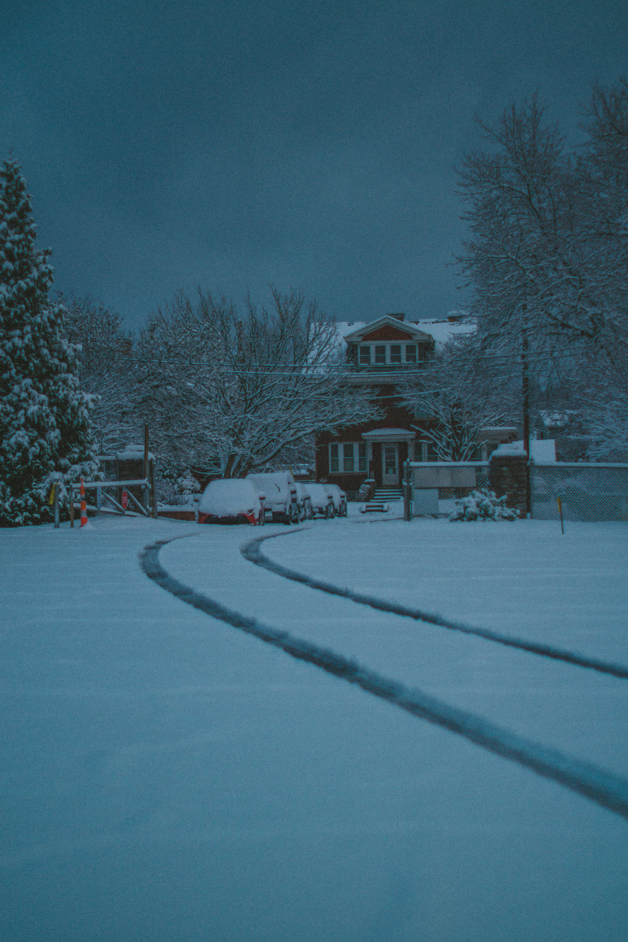 Snow Walk Dec 2-45.jpg