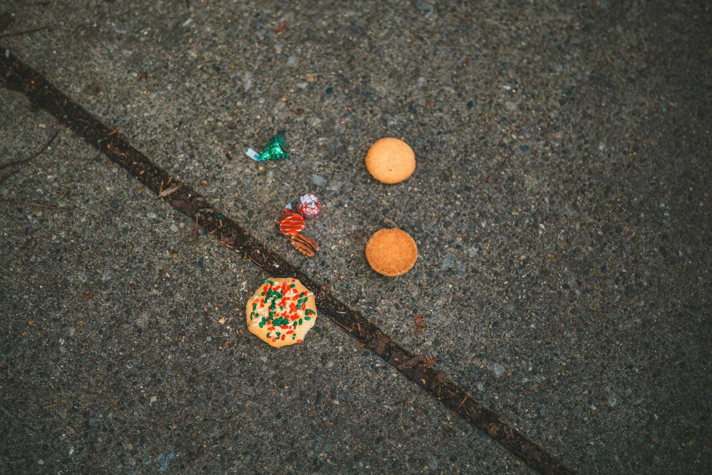 concussion walk-14.jpg