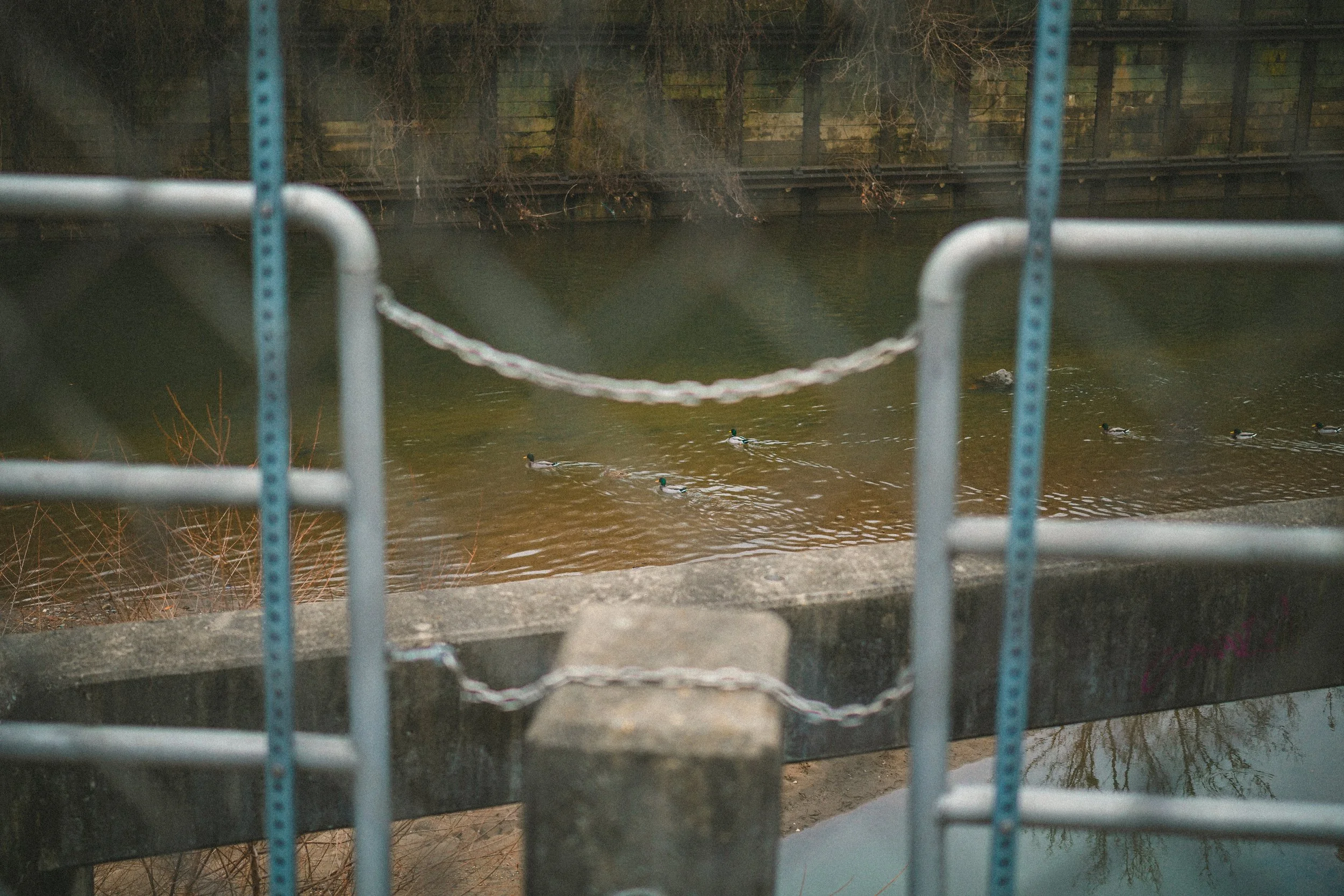 mill creek-34.jpg