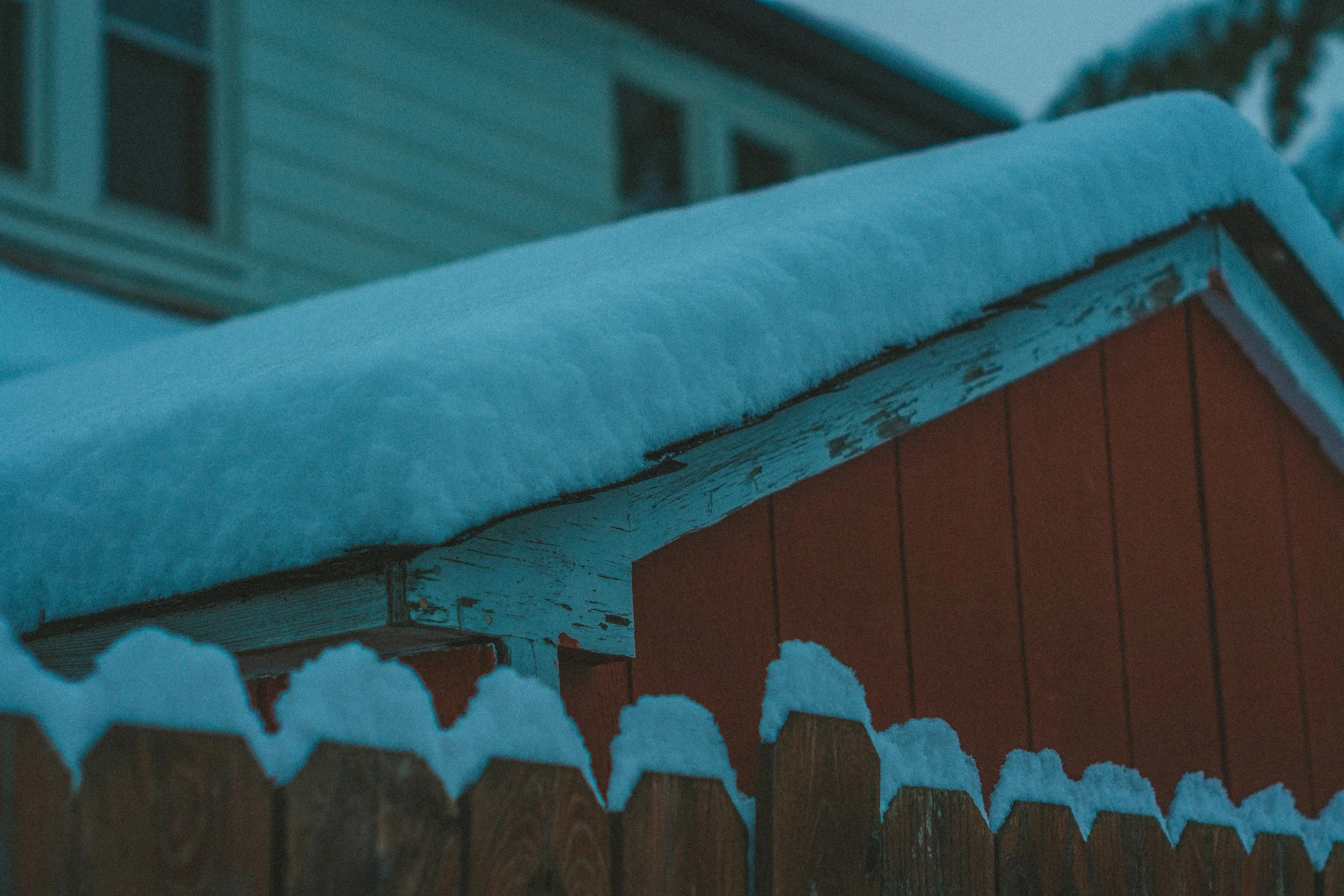 Snow Walk Dec 2-56.jpg