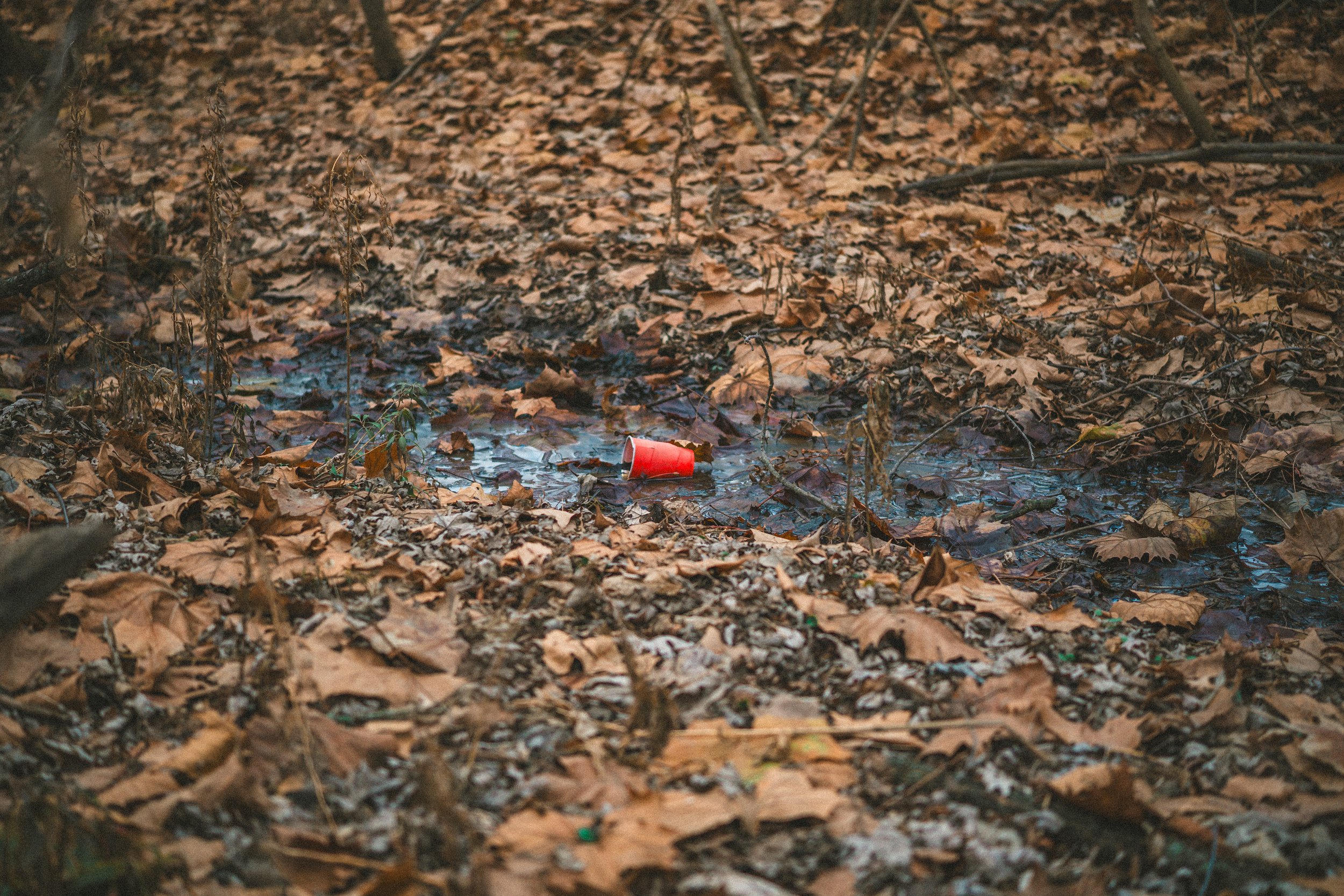 mill creek-60.jpg