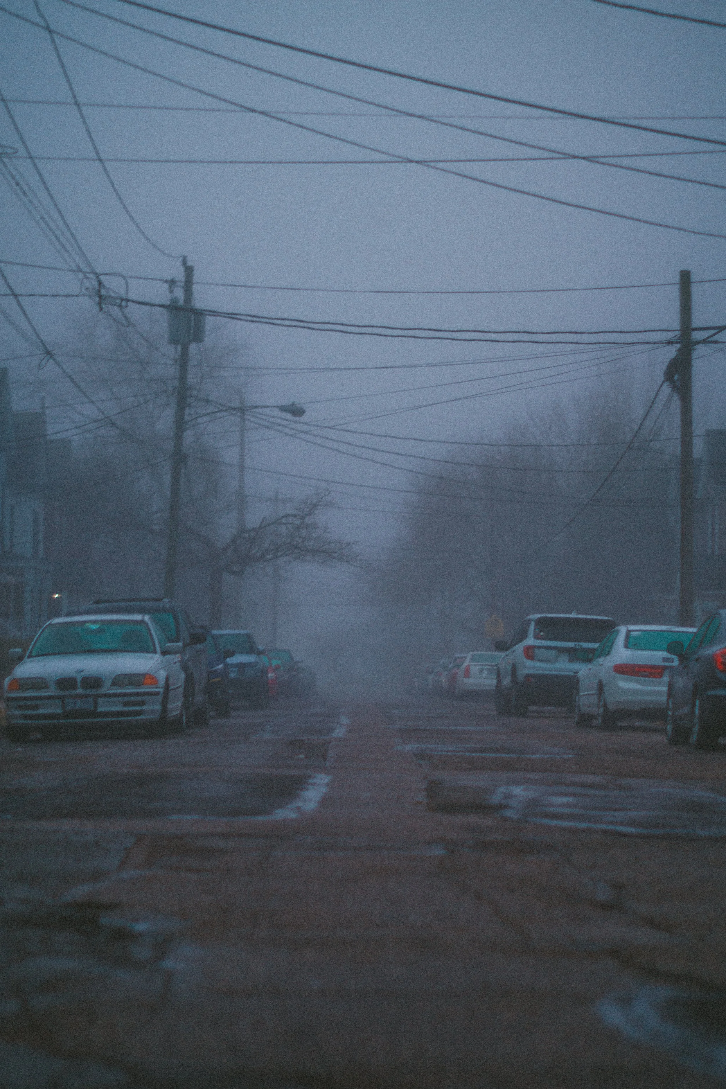 Personal Photography - 2026