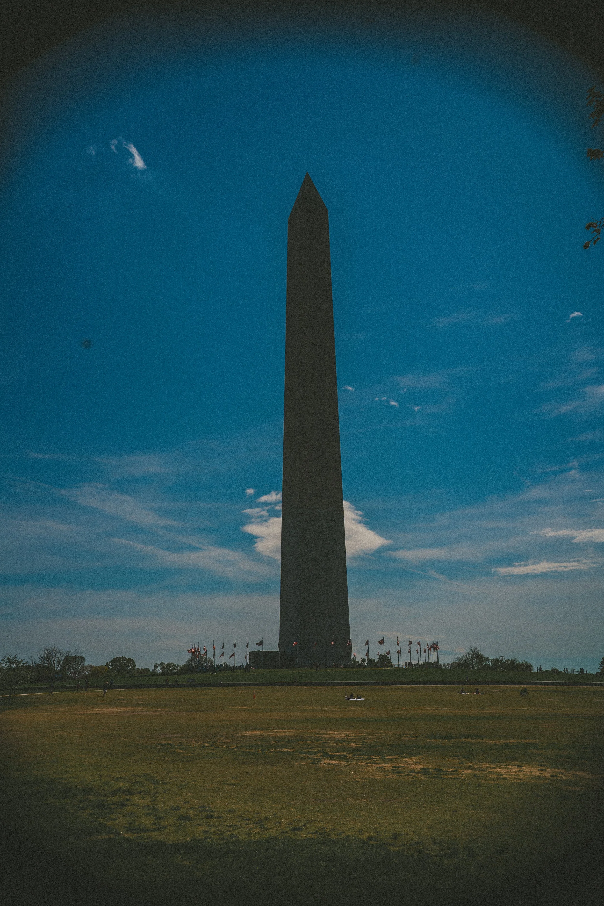 DC-60.jpg